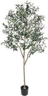 6FT Artificial Olive Tree (72") Tall, Faux Olive Tree Plants with Olive Branches and Fruits, Fake Potted Olive Silk Tree with LED String Lights for Modern Home Office Living Room Floor Decor Indoor