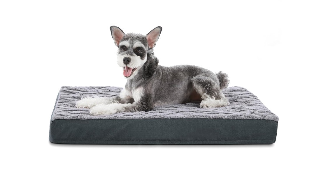JOEJOY Orthopedic Dog Bed for Extra Large Medium Dogs, Big Dog Bed with Removable Waterproof Cover, Egg Crate Foam Pet Bed Mat, Washable Dog Crate Bed with Non-Slip Bottom, 36x27 Inch