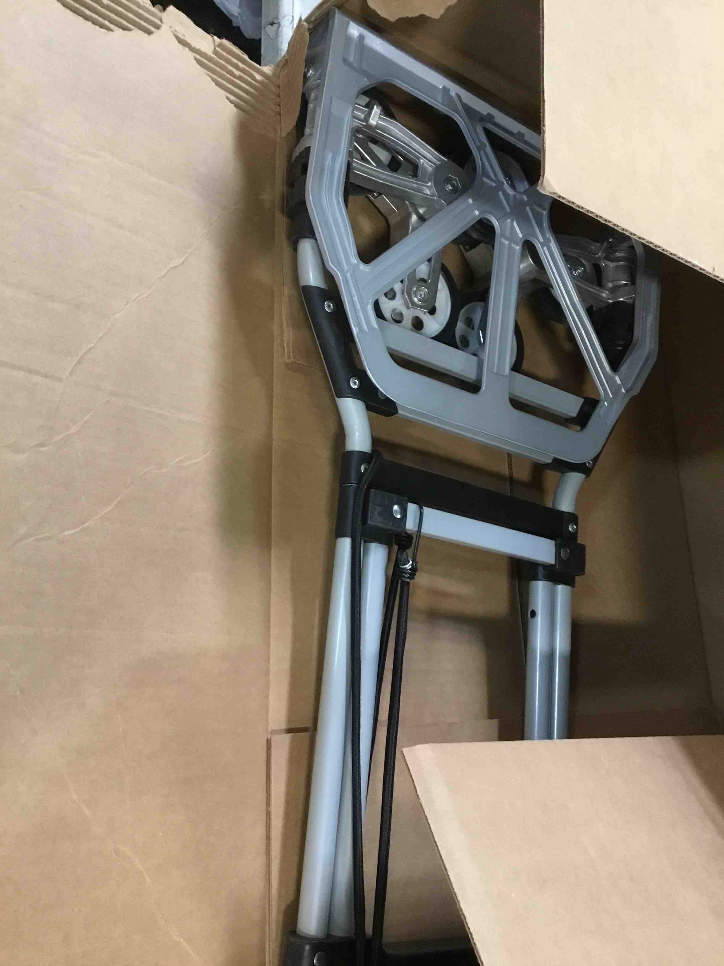 https://s3.amazonaws.com/lotting-images-prod/bidfta/TEA1523514_1736965547919.jpeg