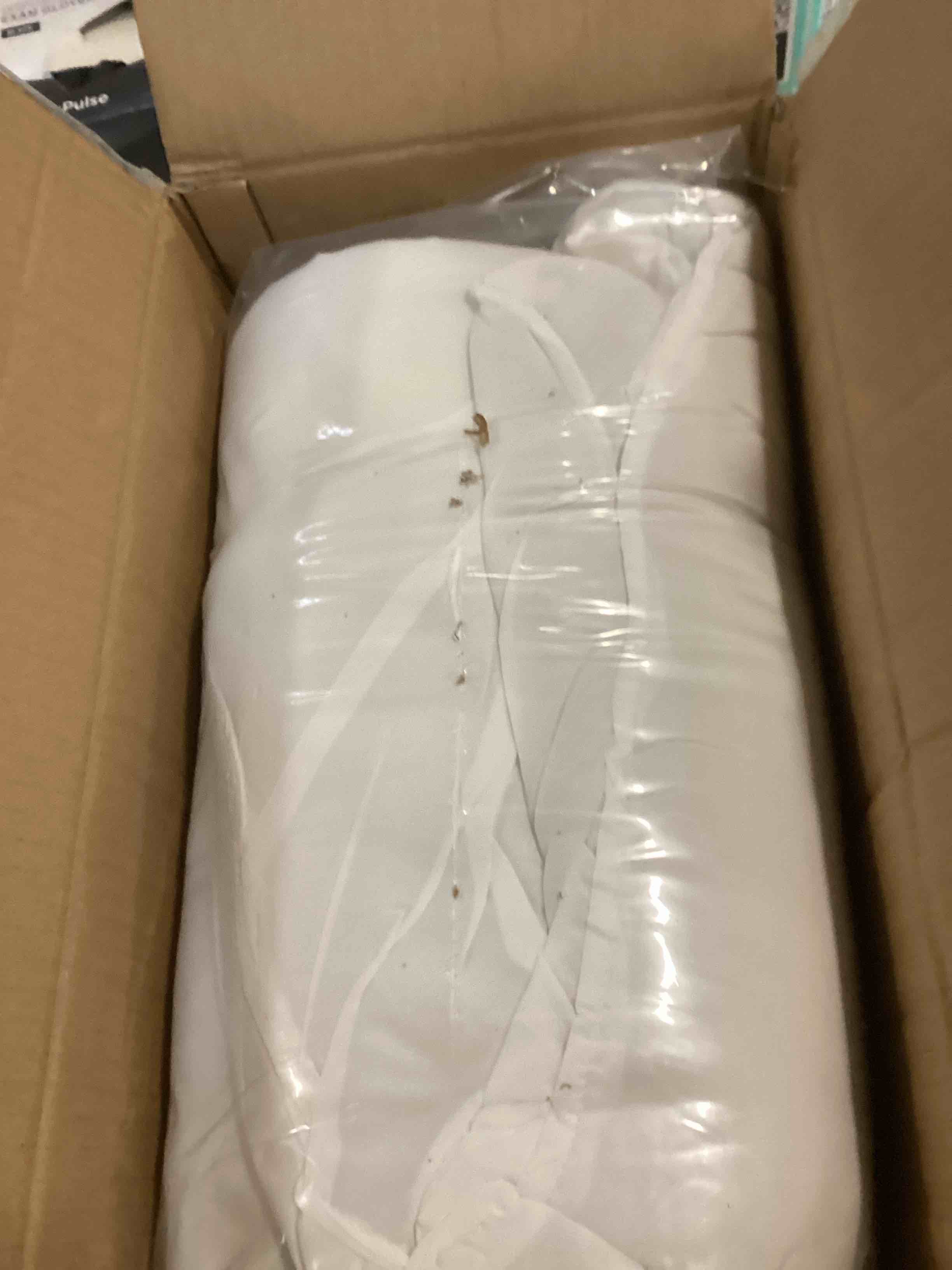 https://s3.amazonaws.com/lotting-images-prod/bidfta/TEA1526095_1735936561056.jpeg