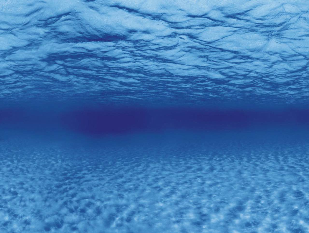 SeaView Brilliant background Aquarium WATER size 12”x24”