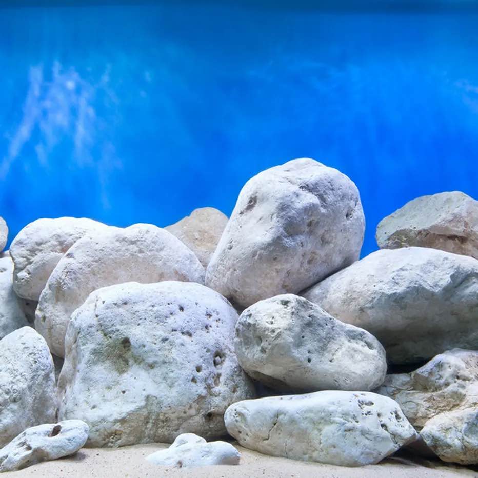 seaview double-sided high definition aquarium background size 18”x36”