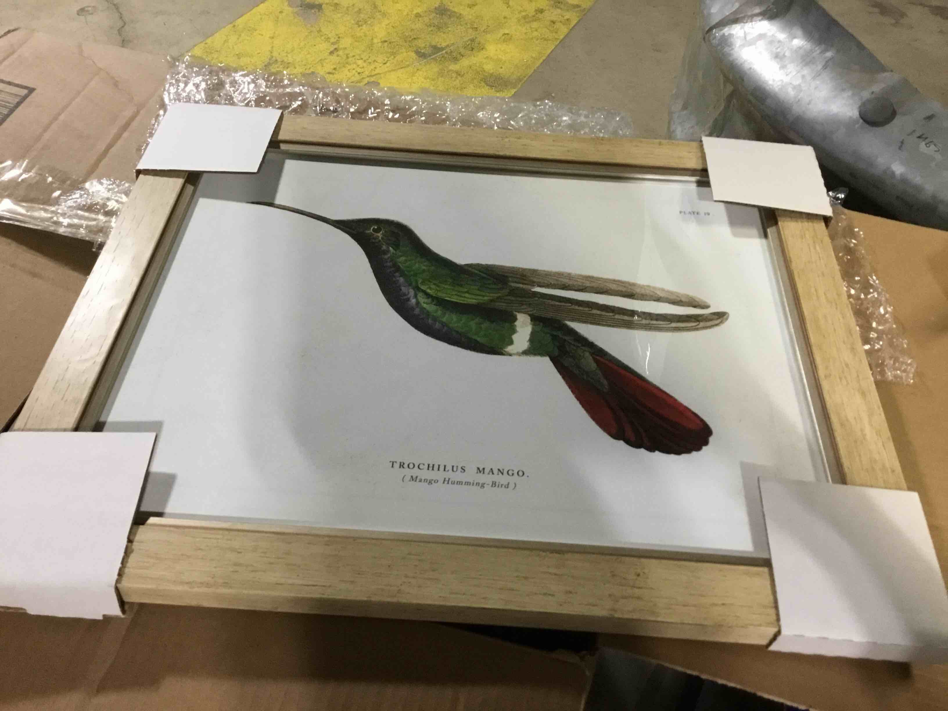 Condition photo showing Good Condition for (SIMILAR)Hummingbird Framed Print 11