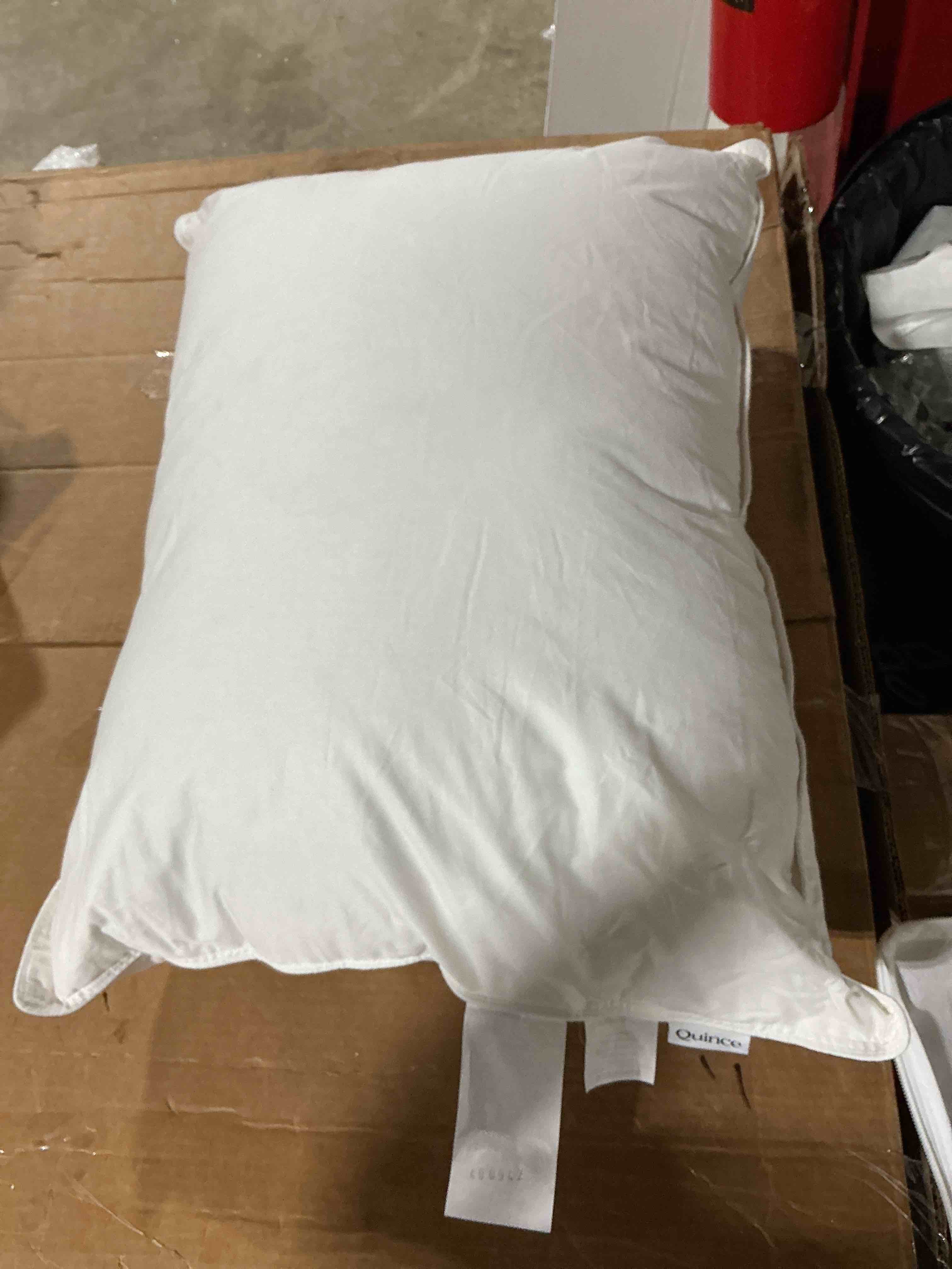 Condition photo showing As Is for quince goose diwn pillow standard