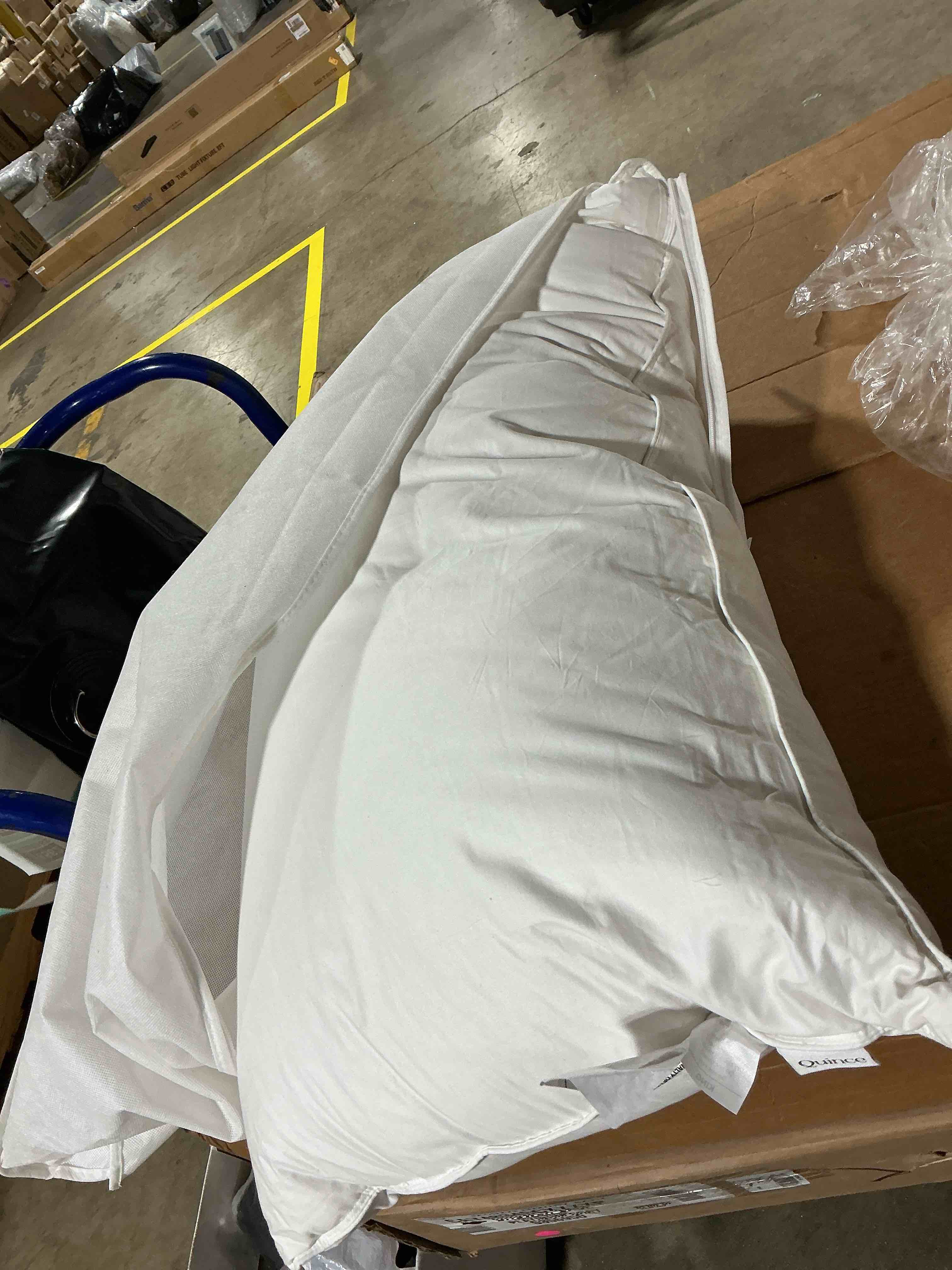 Condition photo showing As Is for quince goose feathers and down pillows, bed pillows king size
