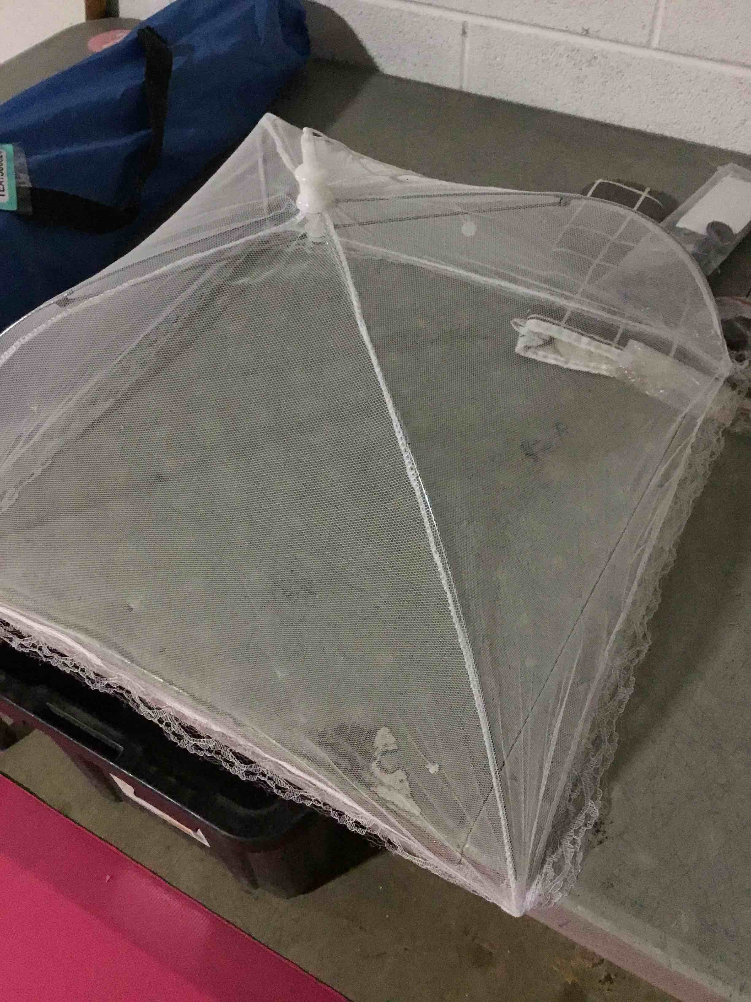 Condition photo showing Good Condition for 1 Pack Pop-Up Mesh Food Covers, 17 Inches Umbrella-Style Folding Mesh Food Cover Picnic Dome, Food Protector Tent Keep Out Flies, Bugs, Mosquitoes