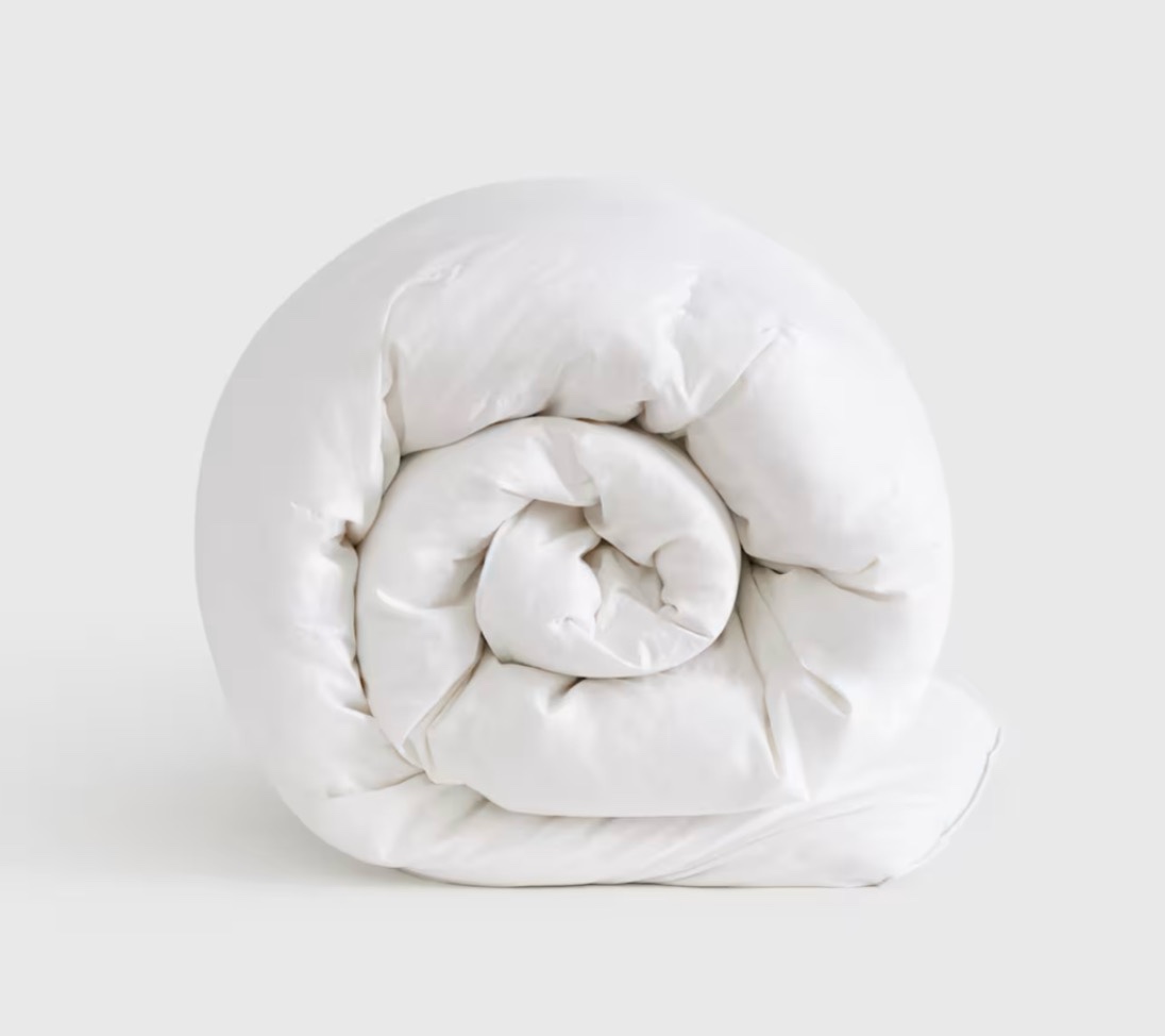 luxe goose down duvet insert ( queen)
