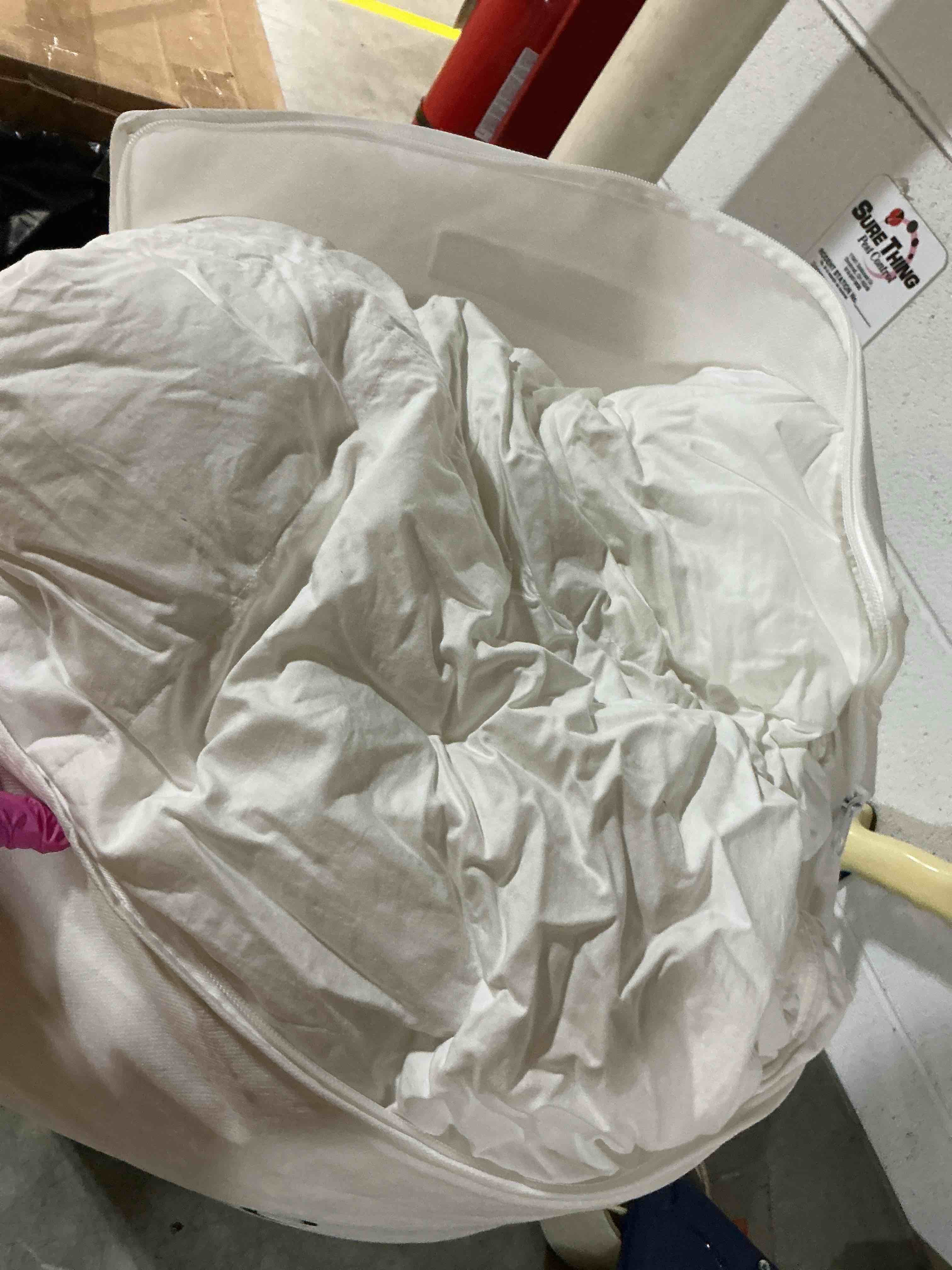 Condition photo showing As Is for luxe goose down duvet insert ( queen)
