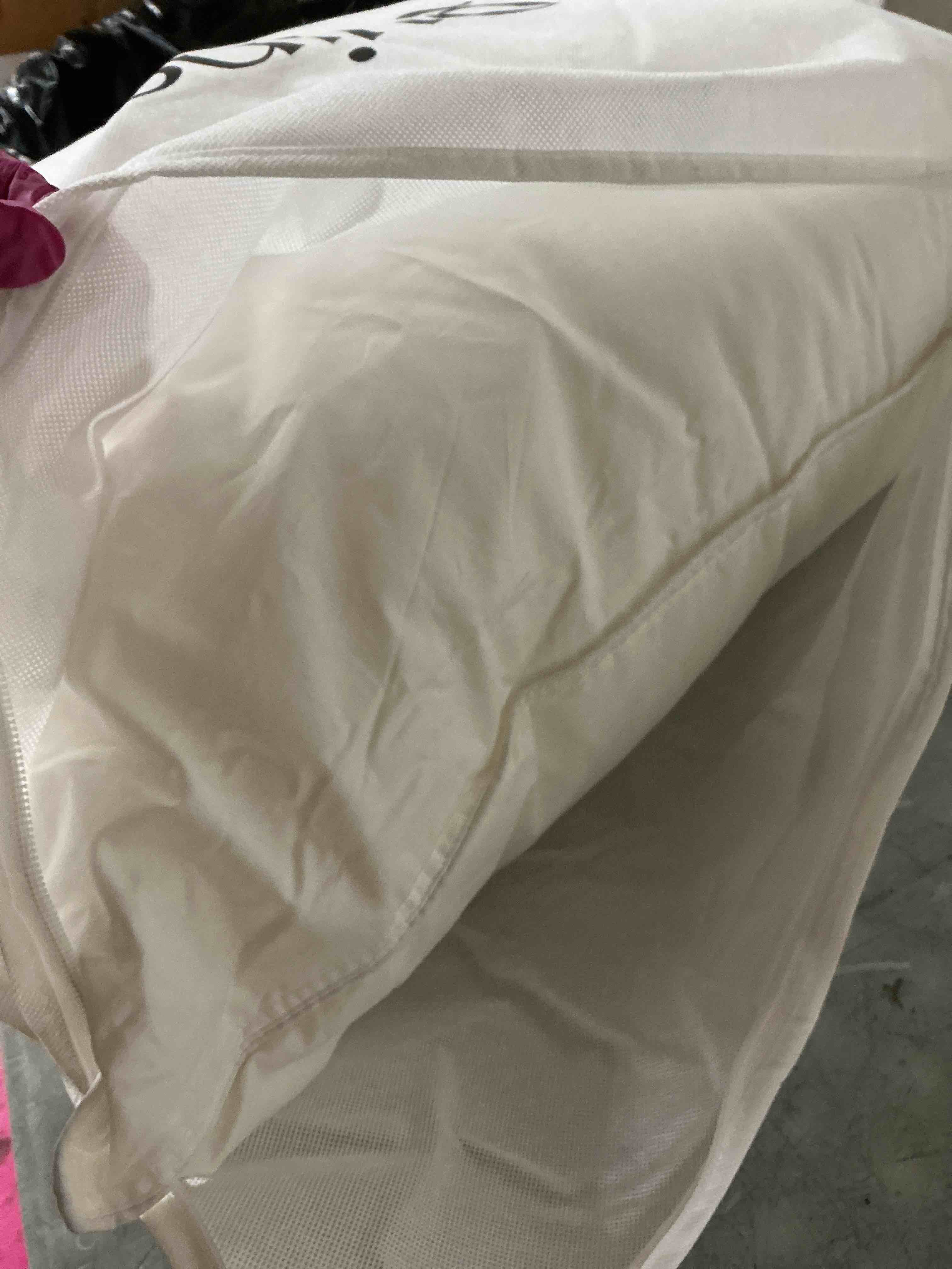 Condition photo showing As Is for premium down alternative pillow (queen)