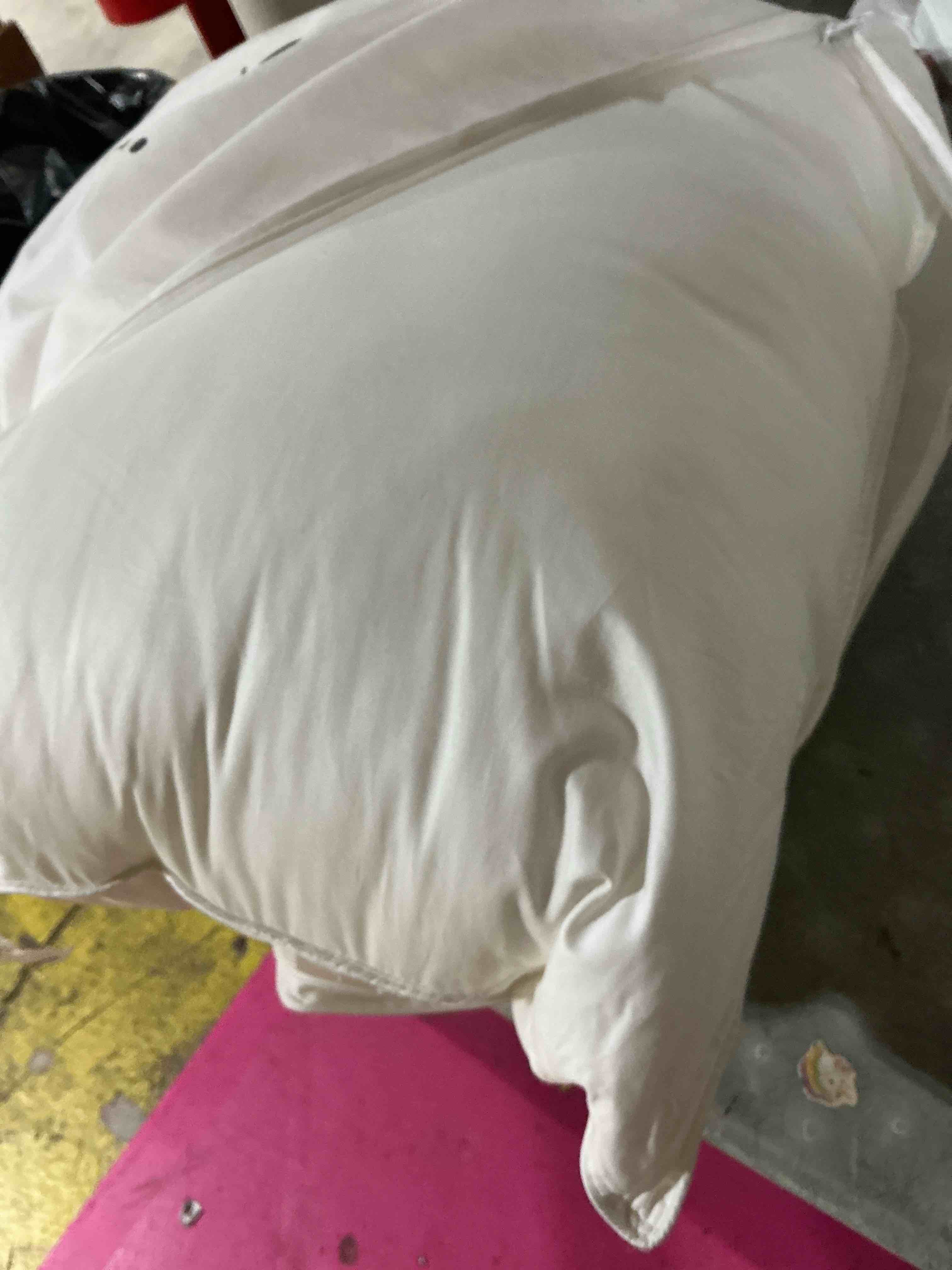 Condition photo showing As Is for quince premium down pillow standard soft 650 fill power 300 thread count cotton sateen