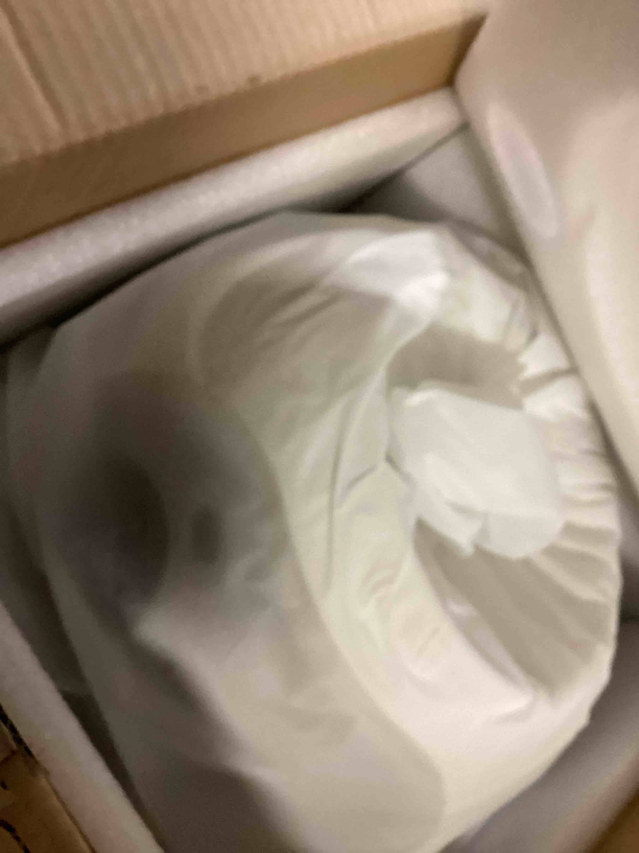https://s3.amazonaws.com/lotting-images-prod/bidfta/TEA1583513_1748358167724.jpeg