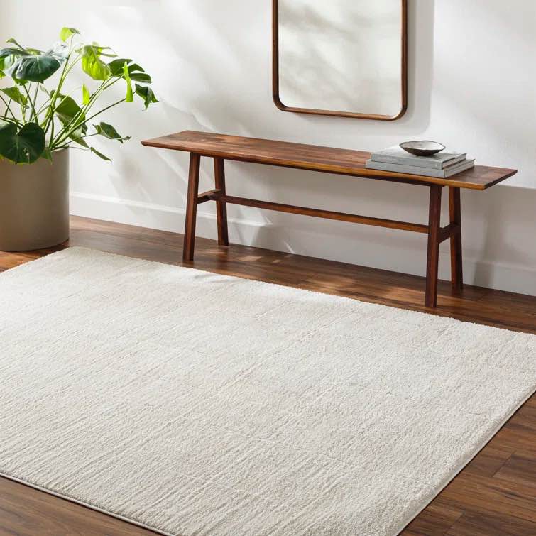 Caireann Solid Color Machine Woven Polyester Area Rug in Cream