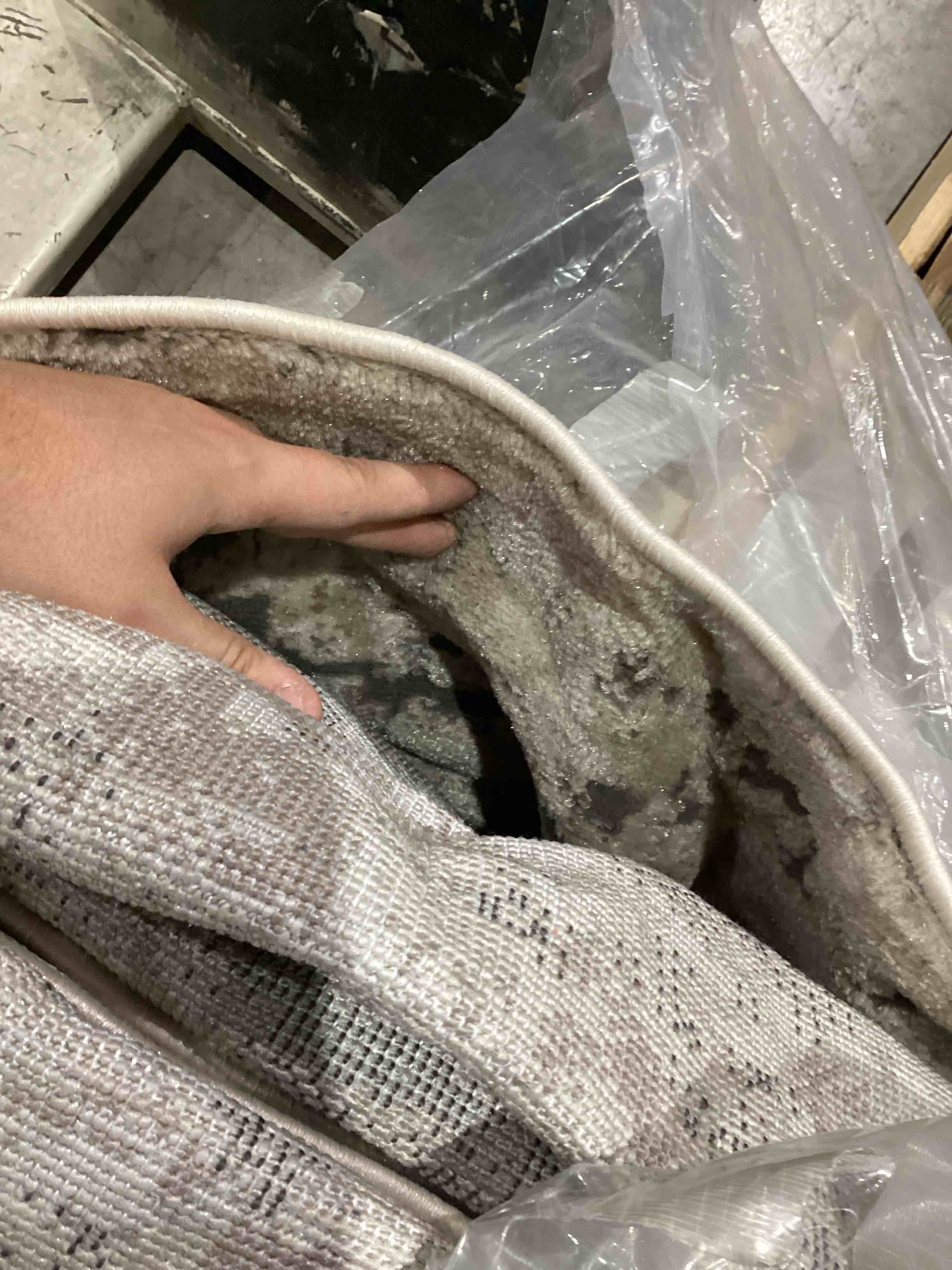 large Indoor Rug