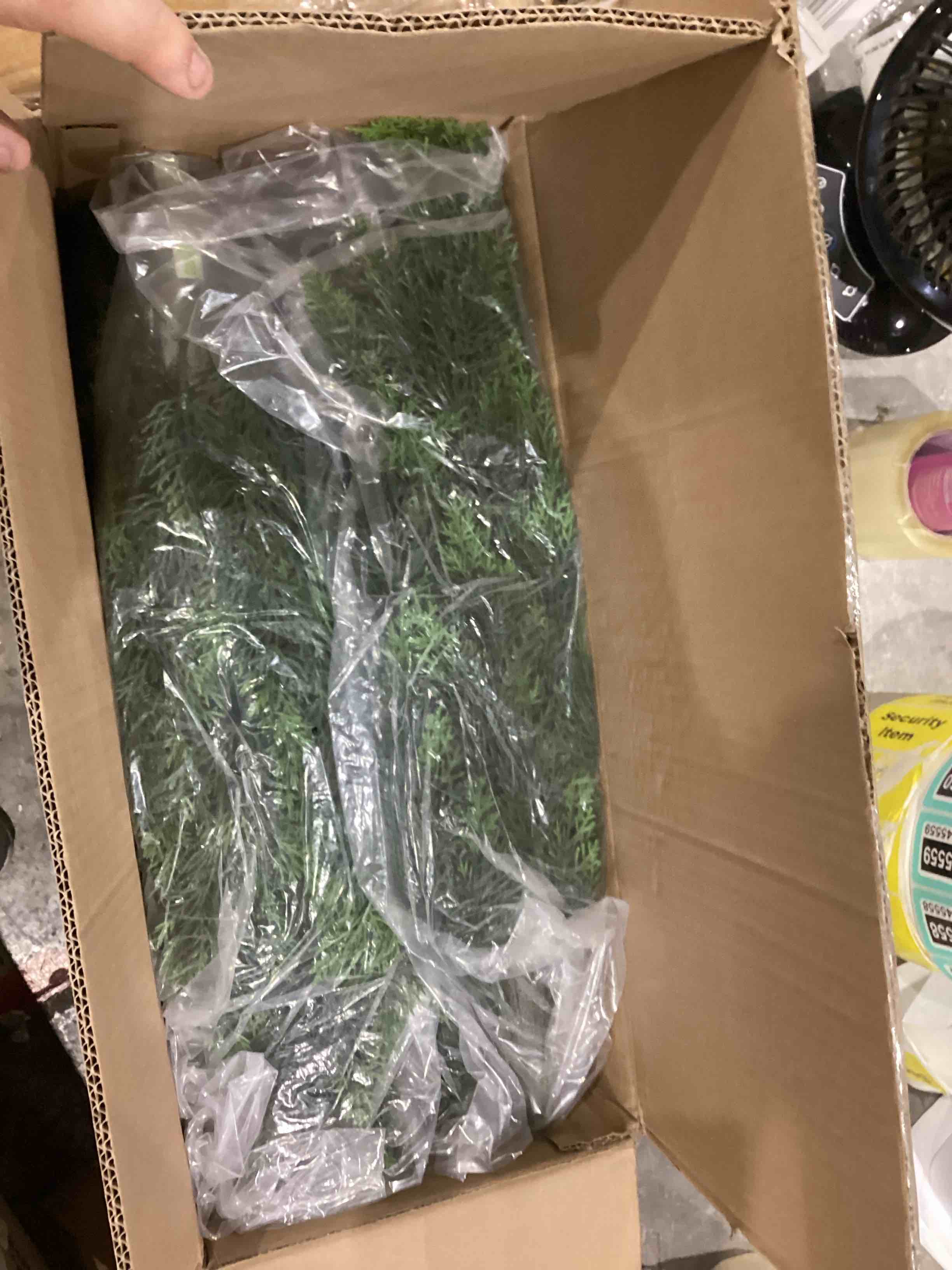 https://s3.amazonaws.com/lotting-images-prod/bidfta/TEA1645547_1751542933701.jpeg