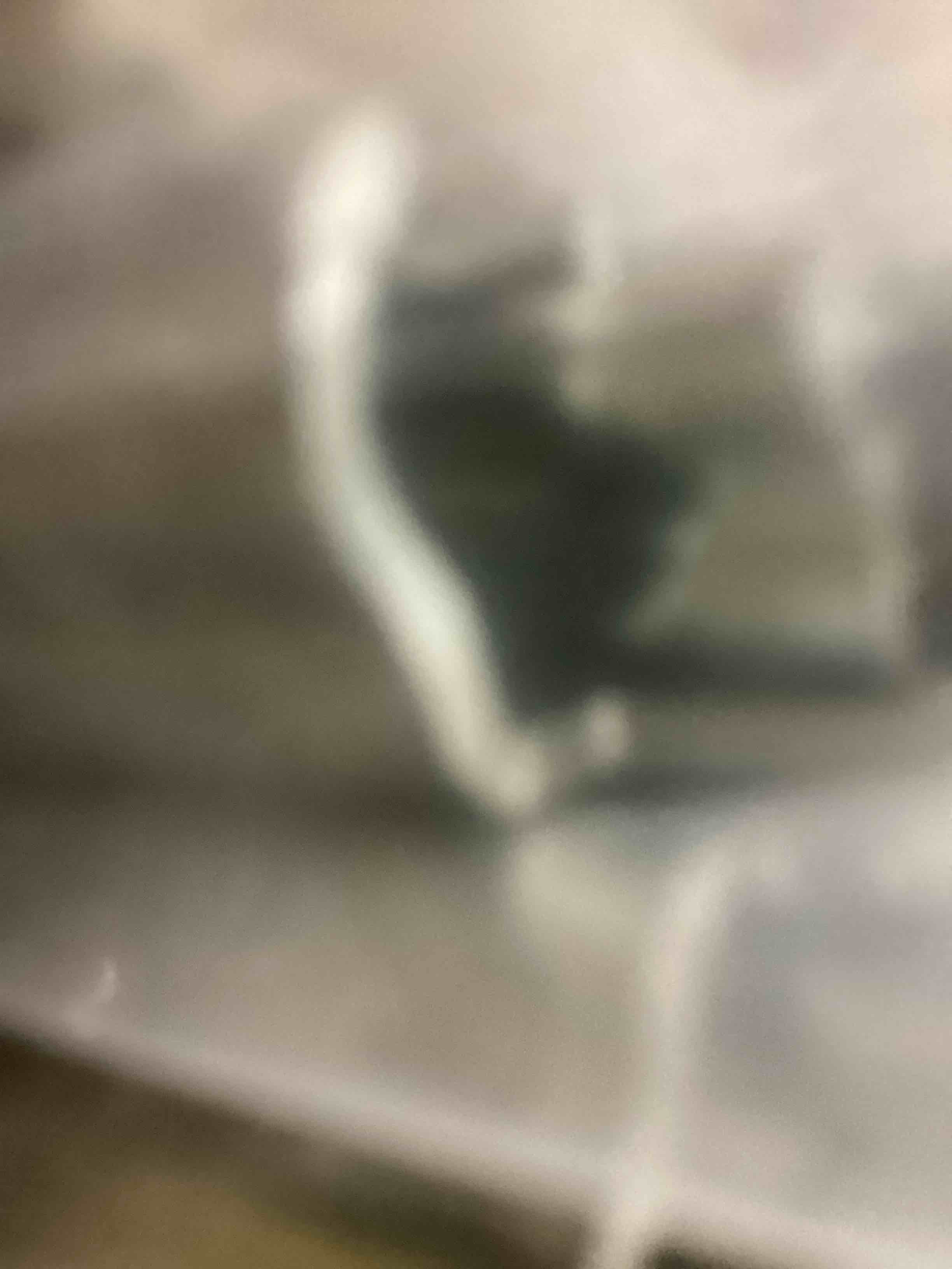 https://s3.amazonaws.com/lotting-images-prod/bidfta/TEA1645757_1753297273456.jpeg