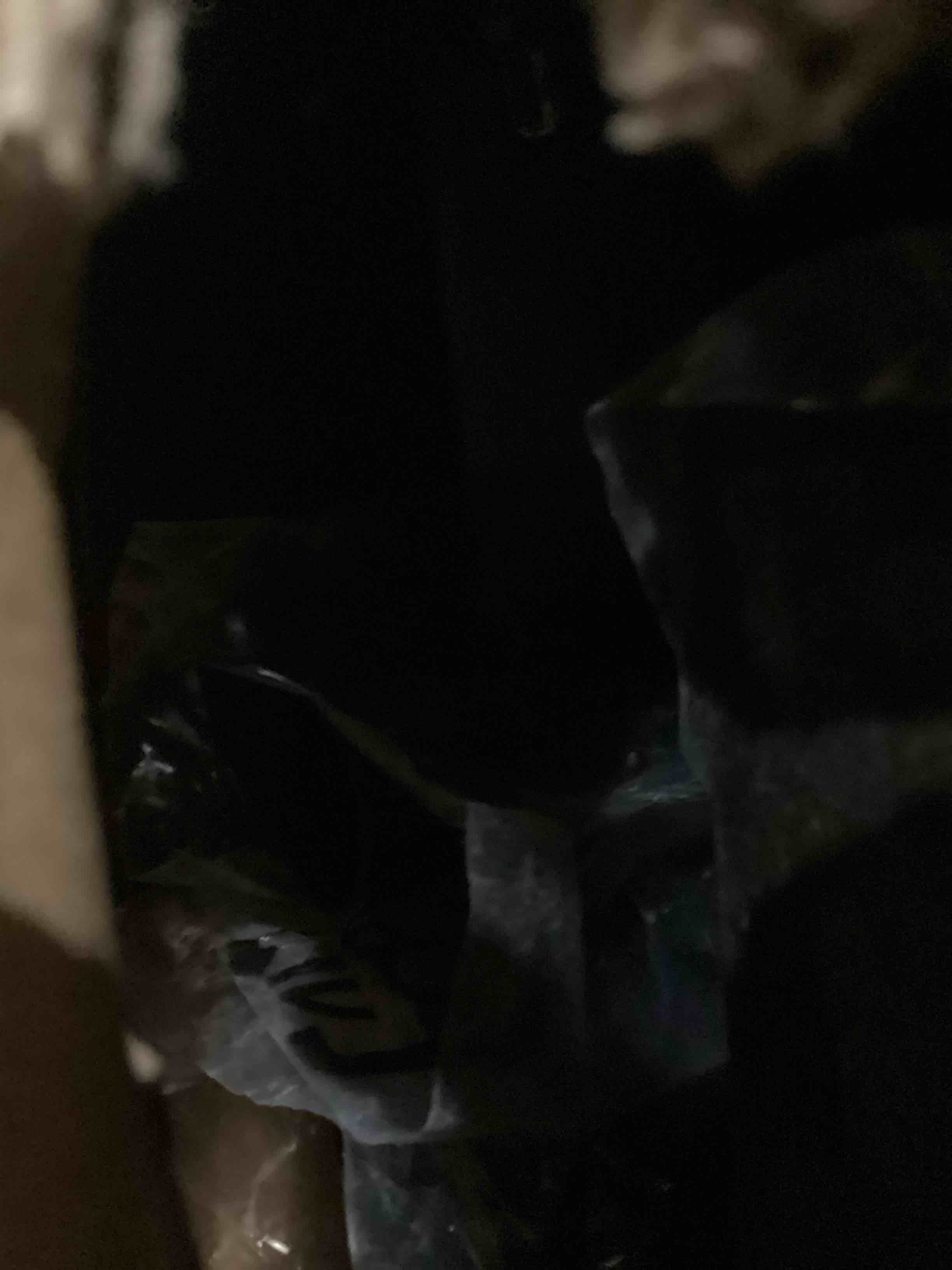 https://s3.amazonaws.com/lotting-images-prod/bidfta/TEA1645948_1753703786356.jpeg