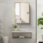 16 in. W x 28 in. H Rectangular Metal Framed Medicine Cabinet with Mirror