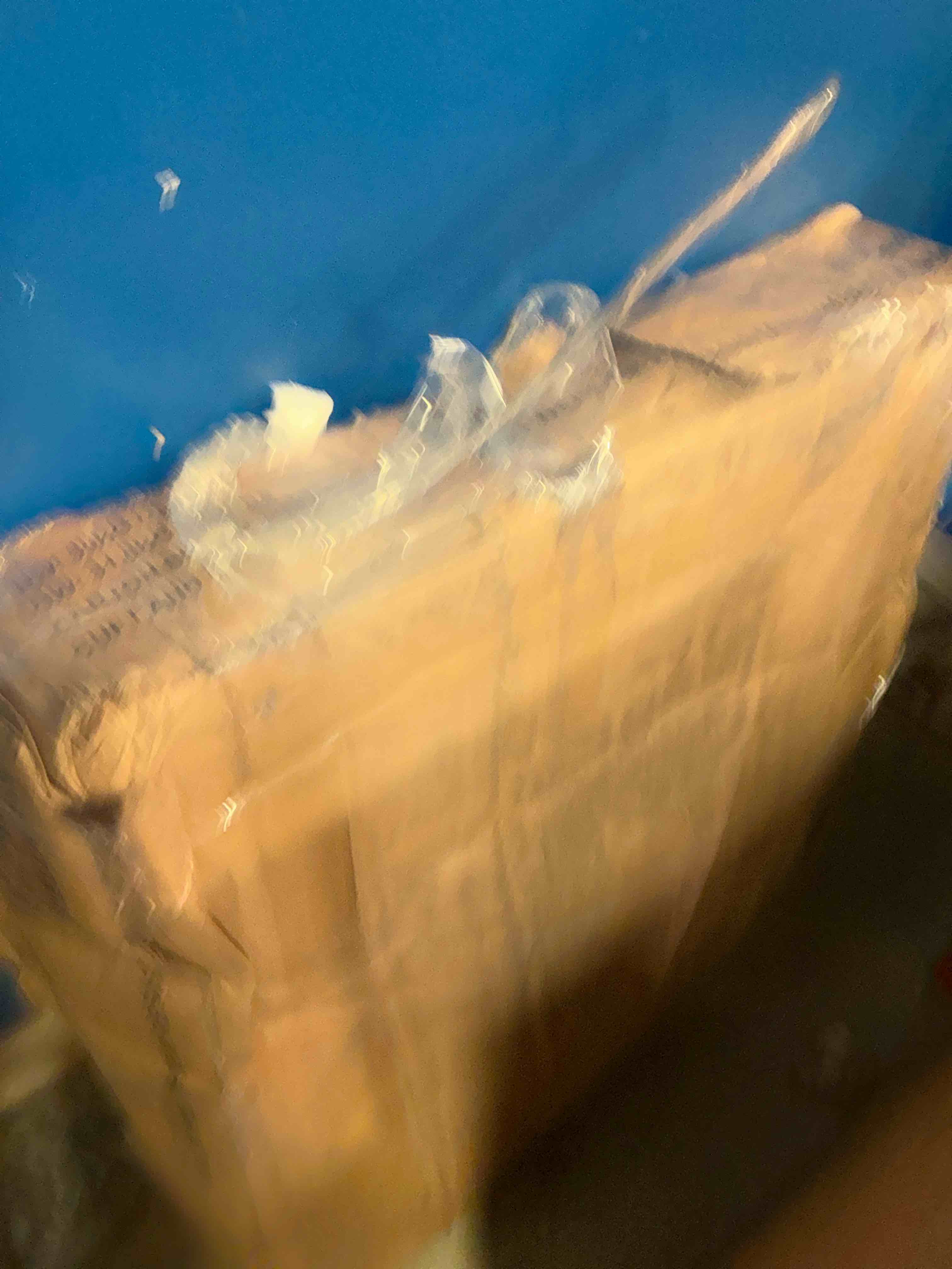https://s3.amazonaws.com/lotting-images-prod/bidfta/TEA1659910_1756841025679.jpeg