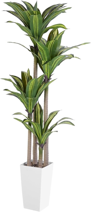 Artificial Dracaena Tree, 6FT Faux Tree with White Tall Planter, Fake Dracaena Plants Tropical Yucca Floor Plant in Pot, Artificial Silk Tree for Home Decor Office Living Room Indoor Housewarming Gift