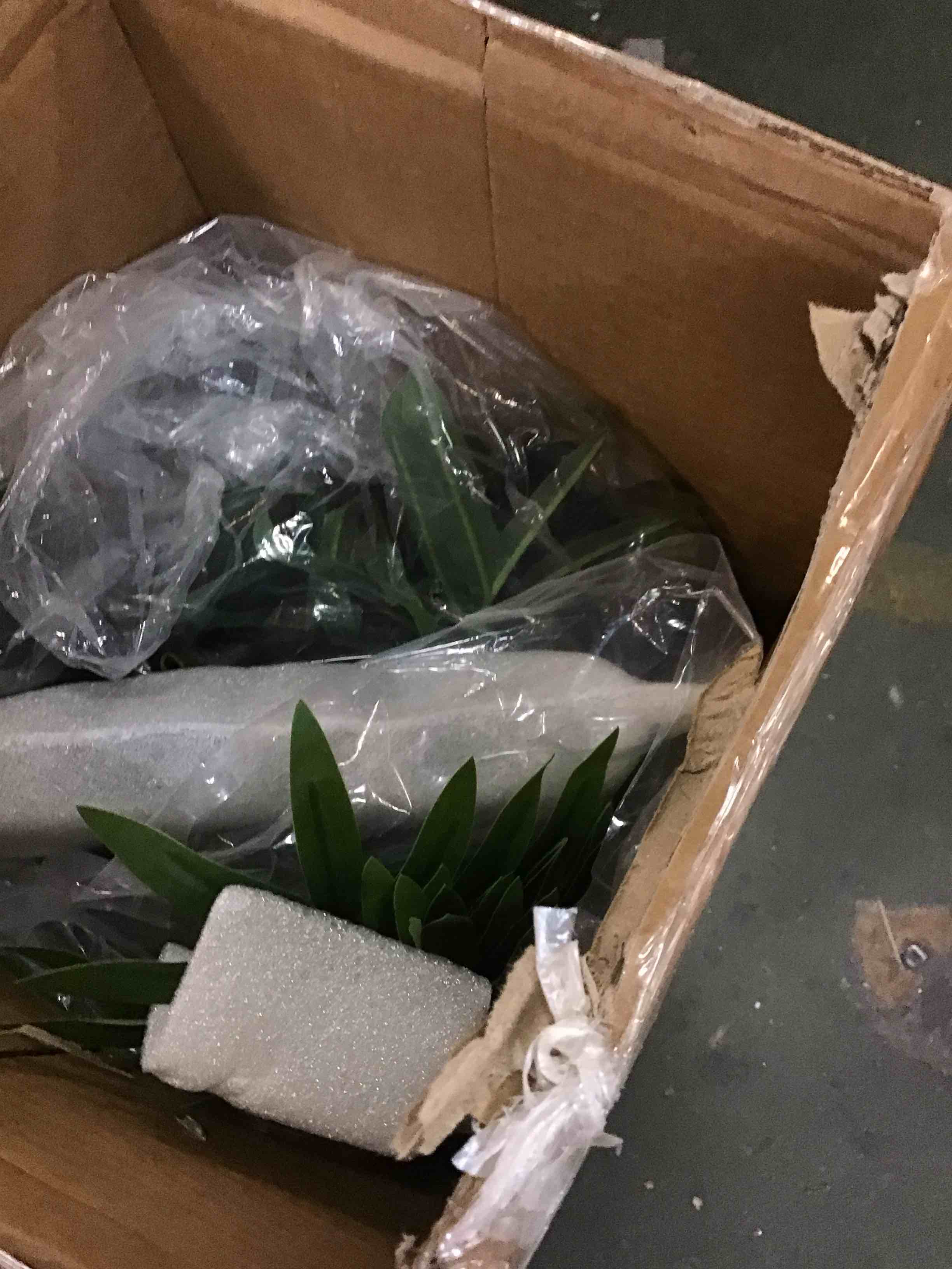 https://s3.amazonaws.com/lotting-images-prod/bidfta/TEA1682023_1734979803005.jpeg