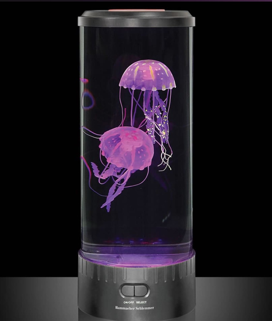 The Best Jellyfish Aquarium