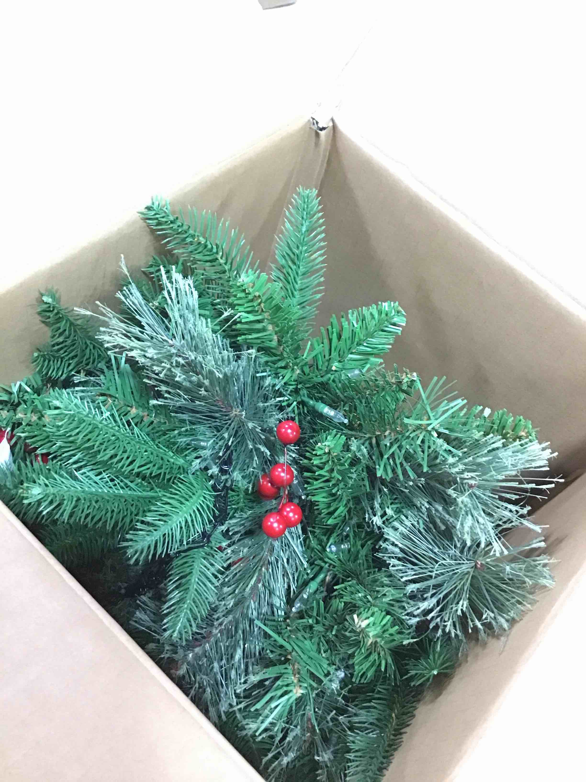 https://s3.amazonaws.com/lotting-images-prod/bidfta/TEA1695319_1734634011285.jpeg