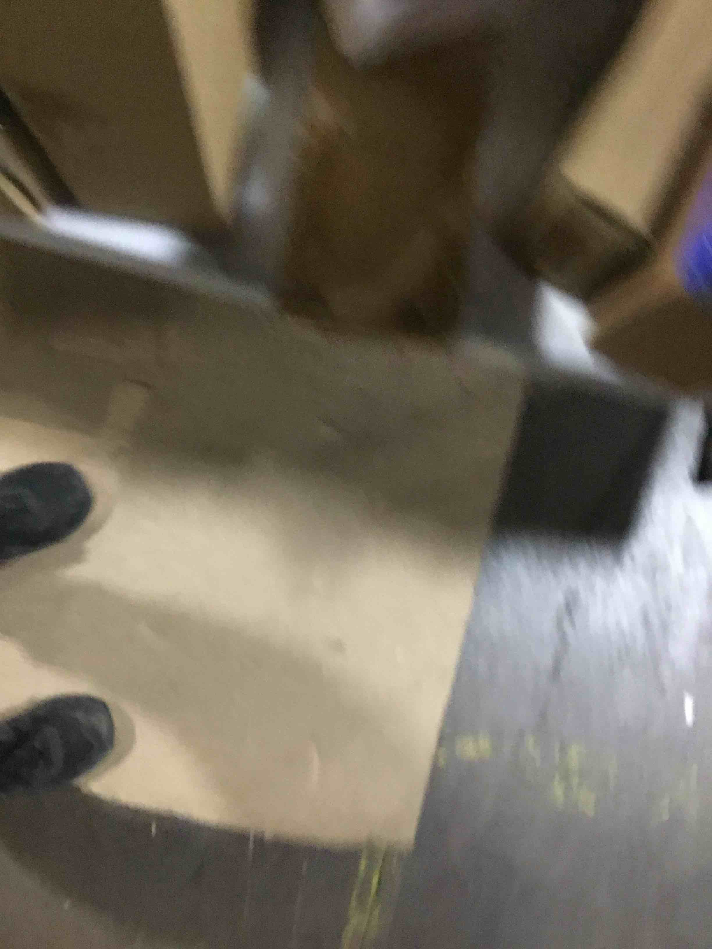 https://s3.amazonaws.com/lotting-images-prod/bidfta/TEA1700563_1731682592950.jpeg