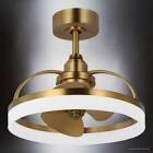 19'' Modern Ceiling Fan with Light