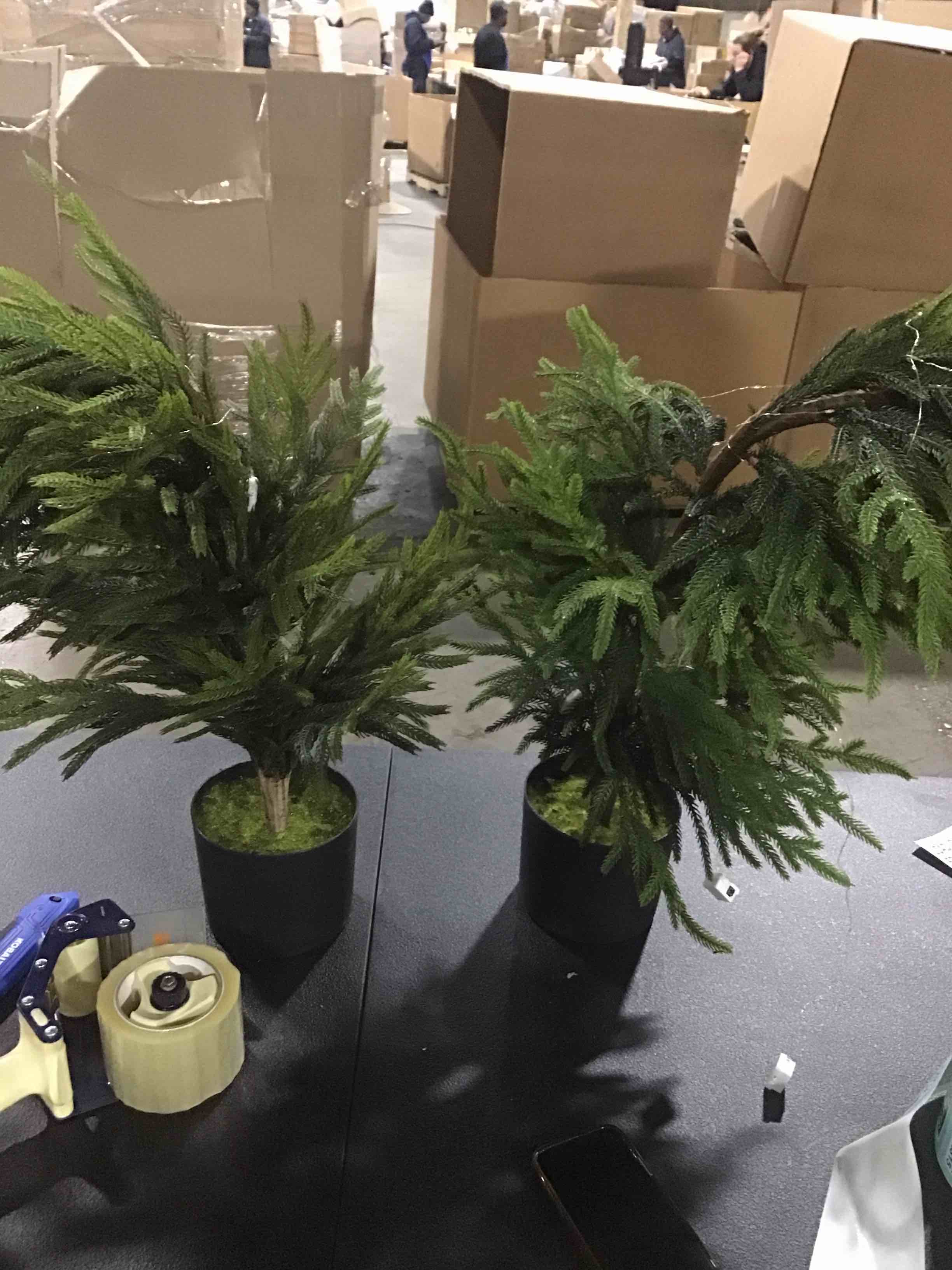 https://s3.amazonaws.com/lotting-images-prod/bidfta/TEA1714806_1736452021000.jpeg