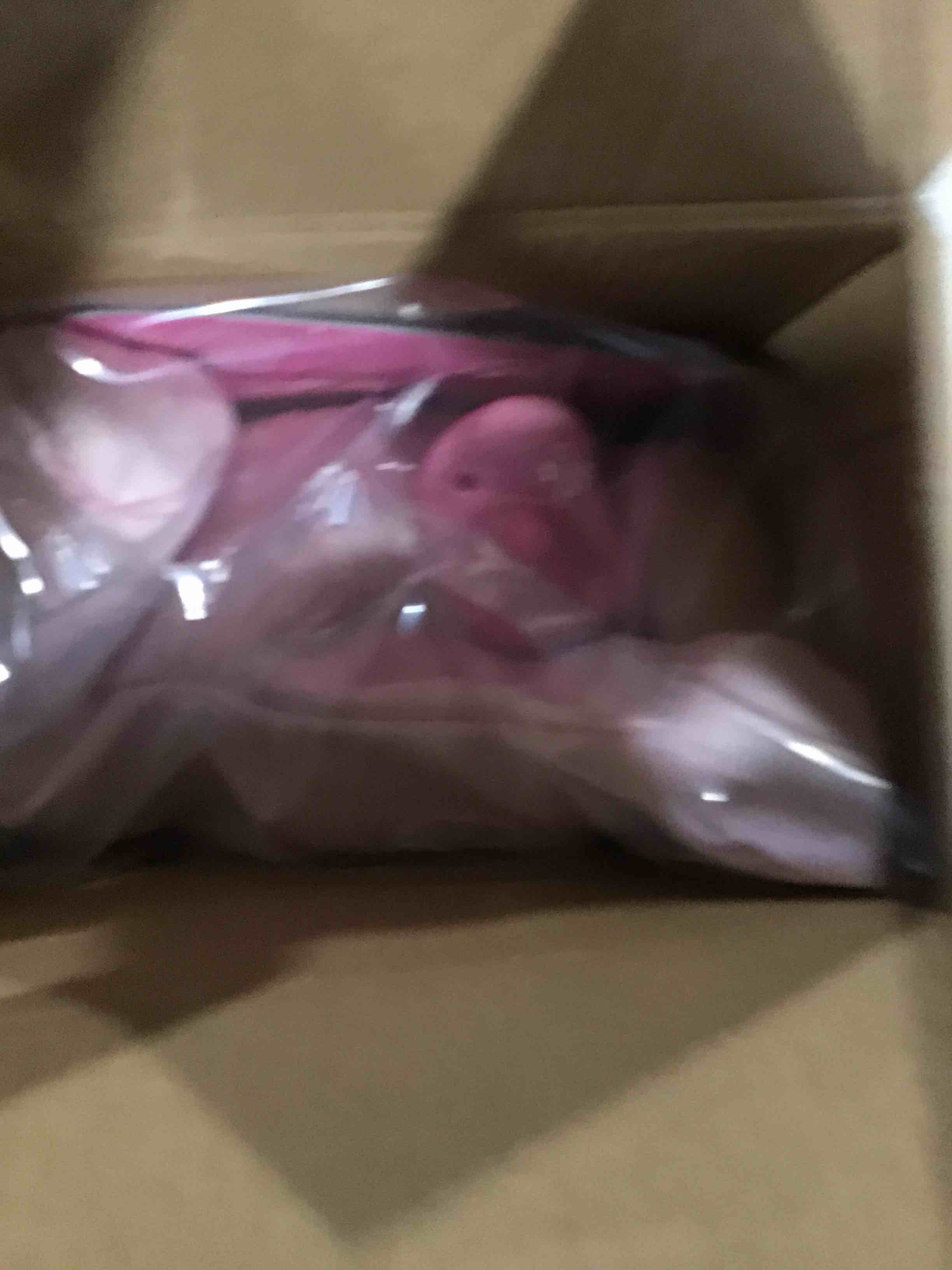 https://s3.amazonaws.com/lotting-images-prod/bidfta/TEA1715097_1736787958675.jpeg