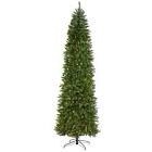9.0’ Mountain Pine-Led