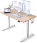 Standing Desk Model:S21