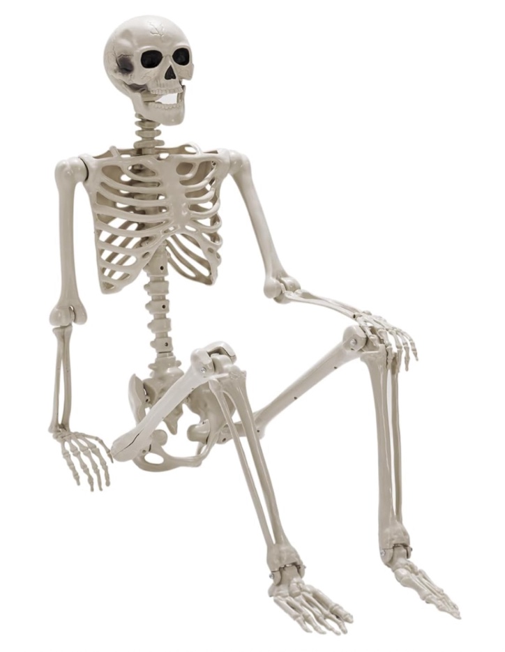 Fovths 5.4Ft/165 cm Pre-Assembled Halloween Skeleton Decoration Life-Size Skeleton Full Body Posable Human Bone with Movable Joints Headband Belt Eye Patch for Halloween Outdoor Yard Haunted House