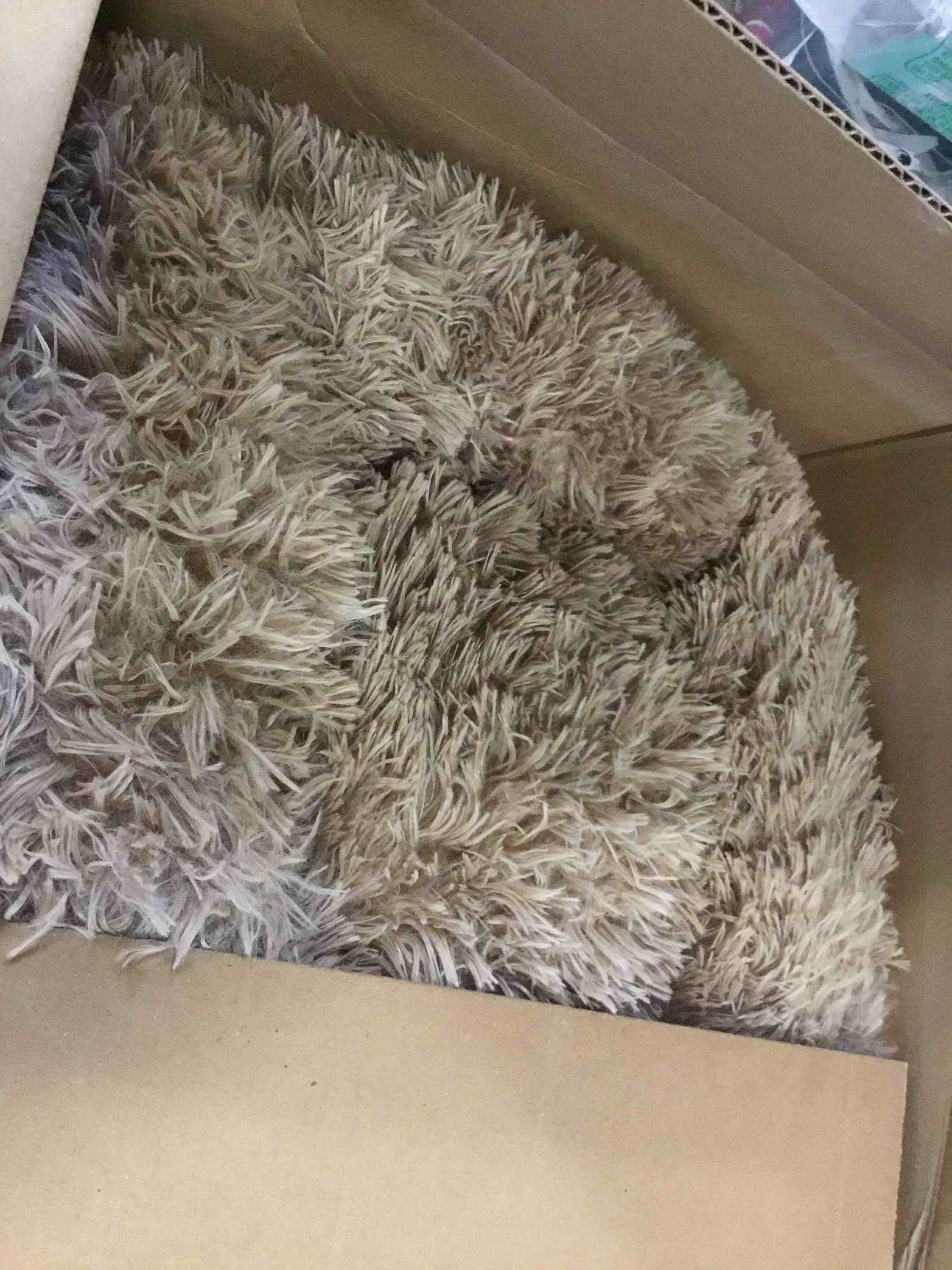 https://s3.amazonaws.com/lotting-images-prod/bidfta/TEA1727316_1733165166226.jpeg