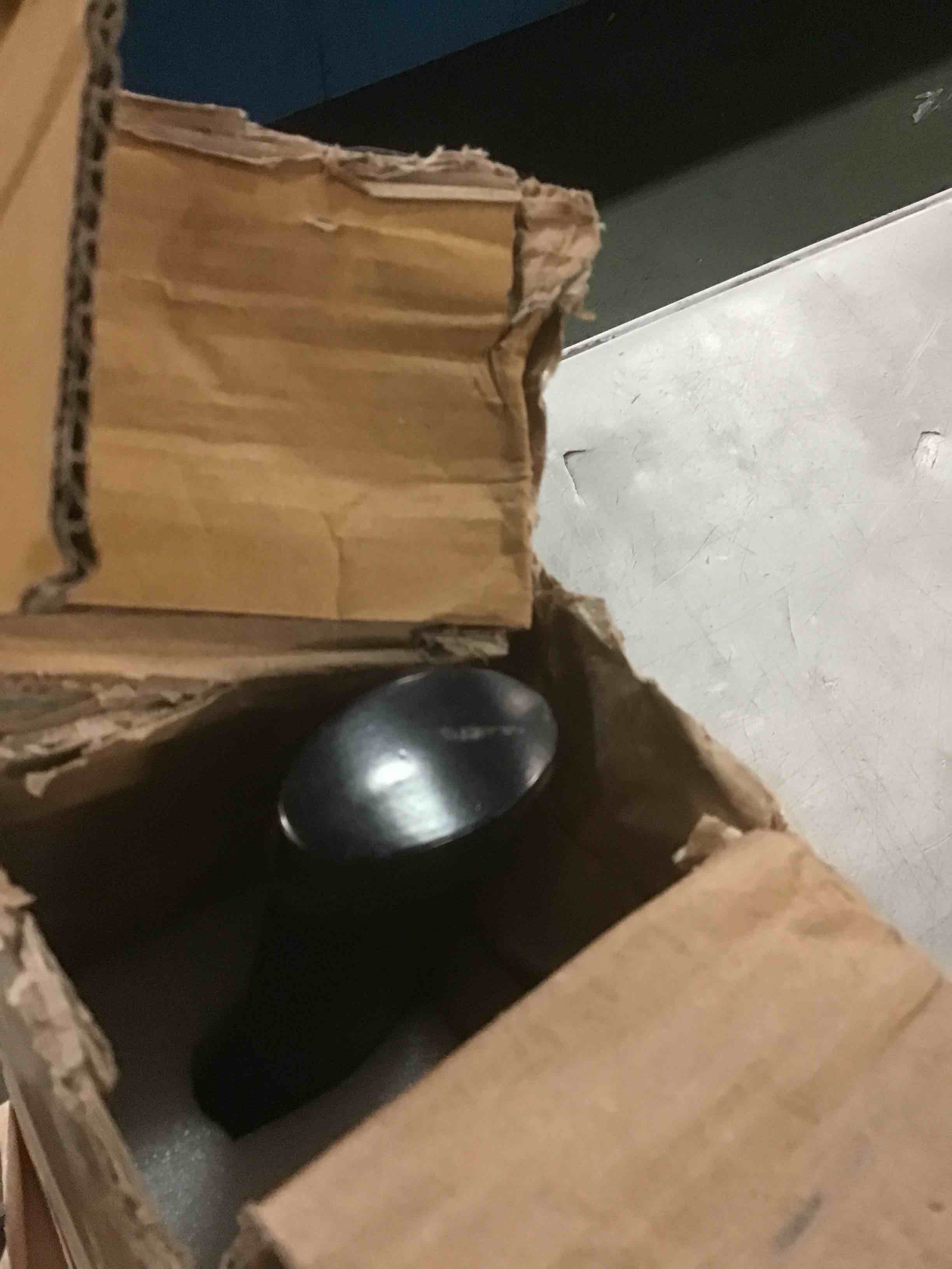 https://s3.amazonaws.com/lotting-images-prod/bidfta/TEA1728161_1734719295968.jpeg