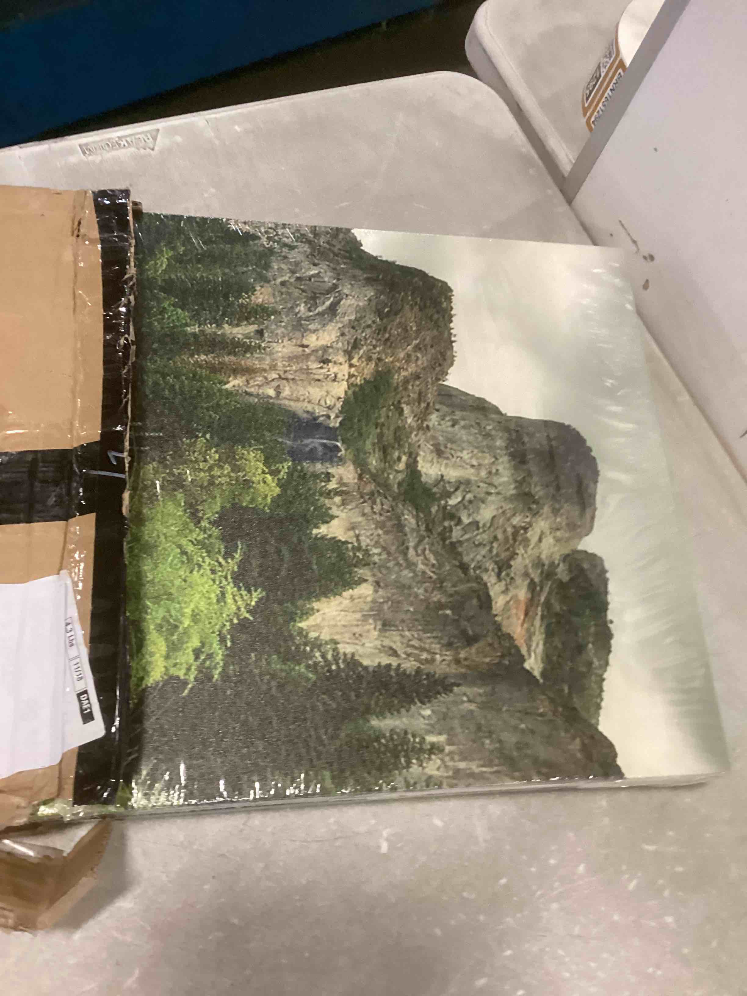 https://s3.amazonaws.com/lotting-images-prod/bidfta/TEA1730176_1733418446150.jpeg