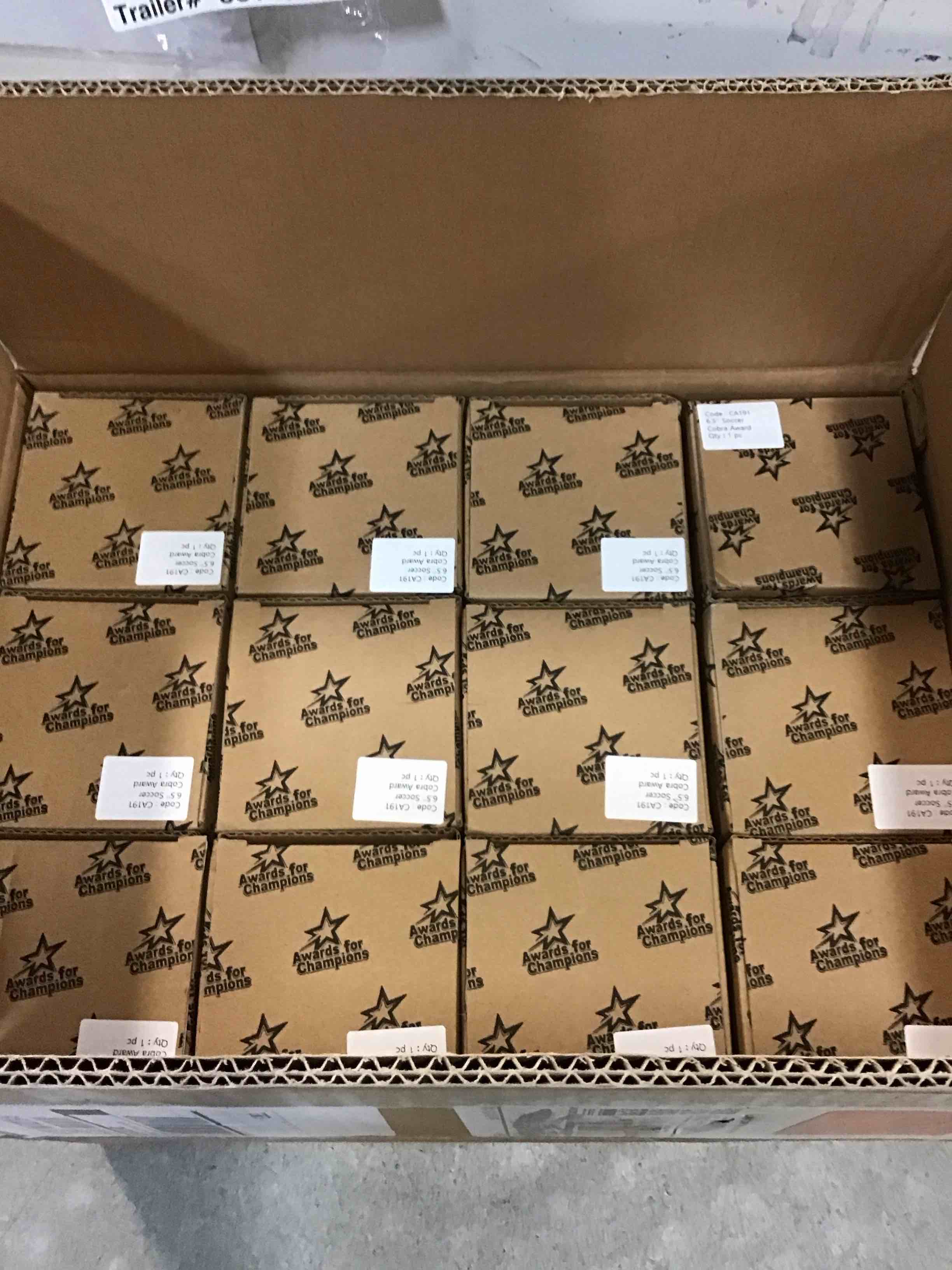 https://s3.amazonaws.com/lotting-images-prod/bidfta/TEA1740906_1733503489716.jpeg