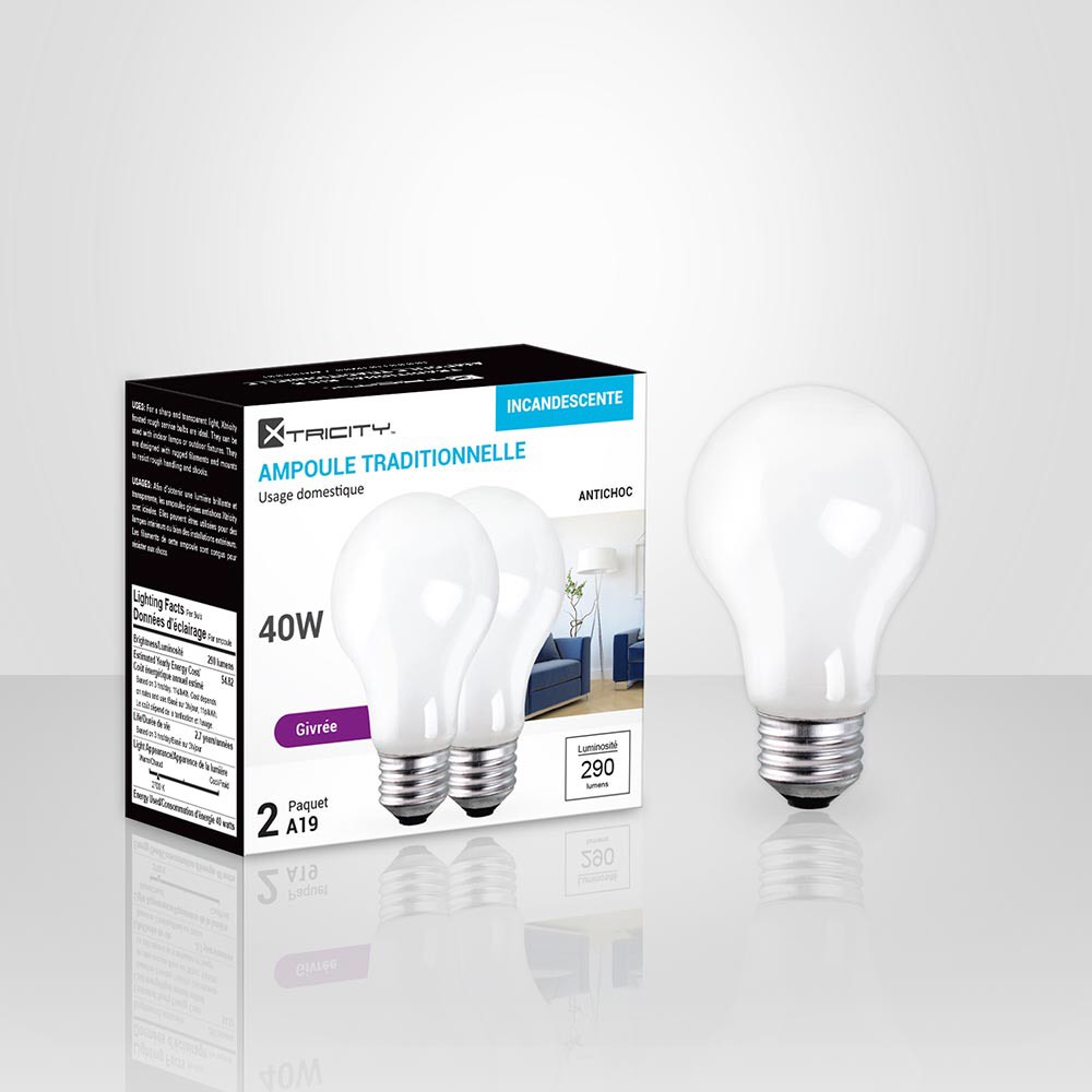 Ampoule incandescente A19 40W 290 lumens 2700 K ( 4 pack of 2) 