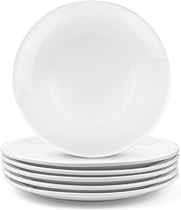 Foraineam 6 Pieces Porcelain Dinner Plates Approximate 10 Inch Round Salad Plate White Dinnerware Dish Catering Serving Plates