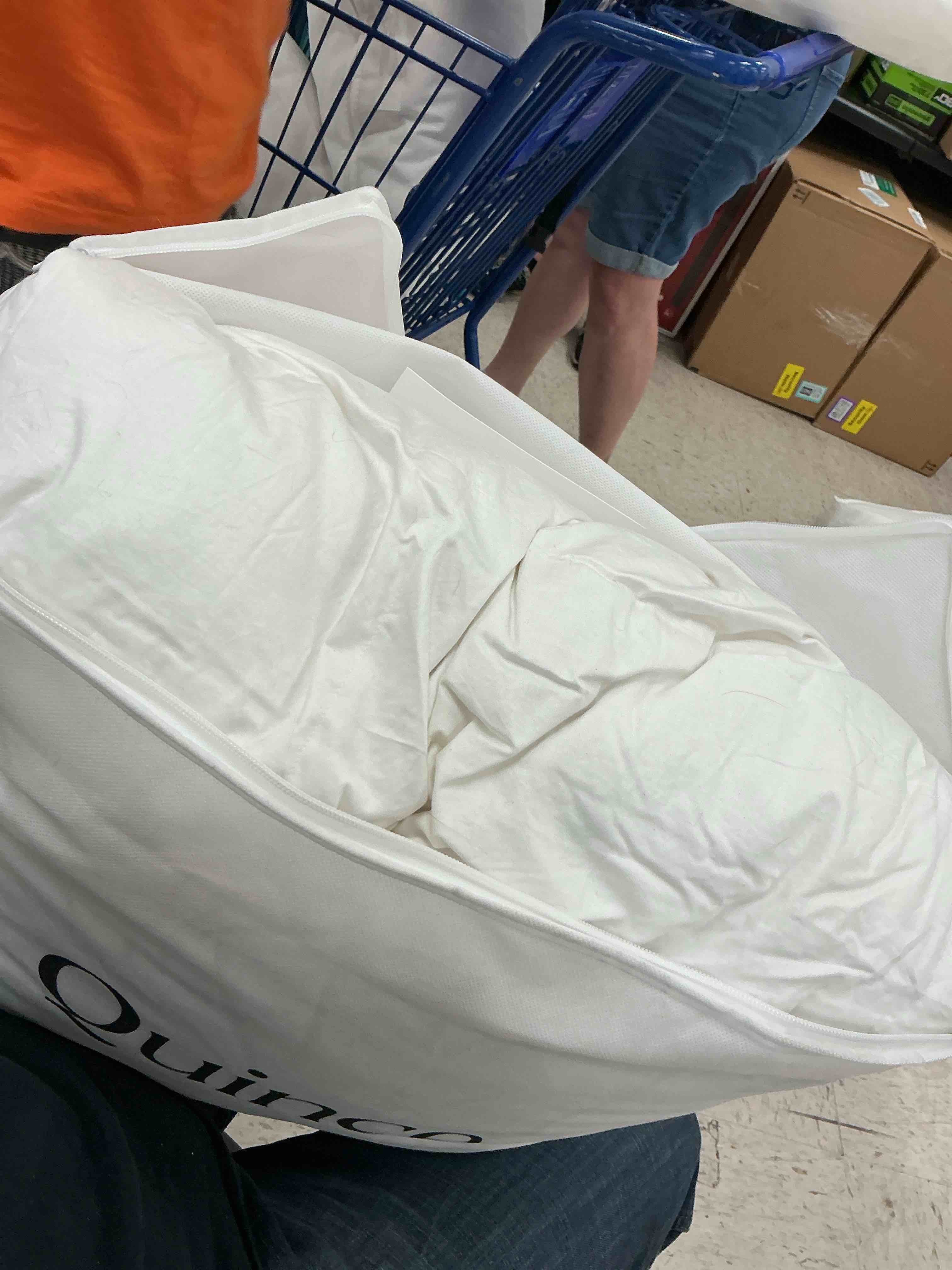 Condition photo showing As Is for quince luxe goose down comforter 