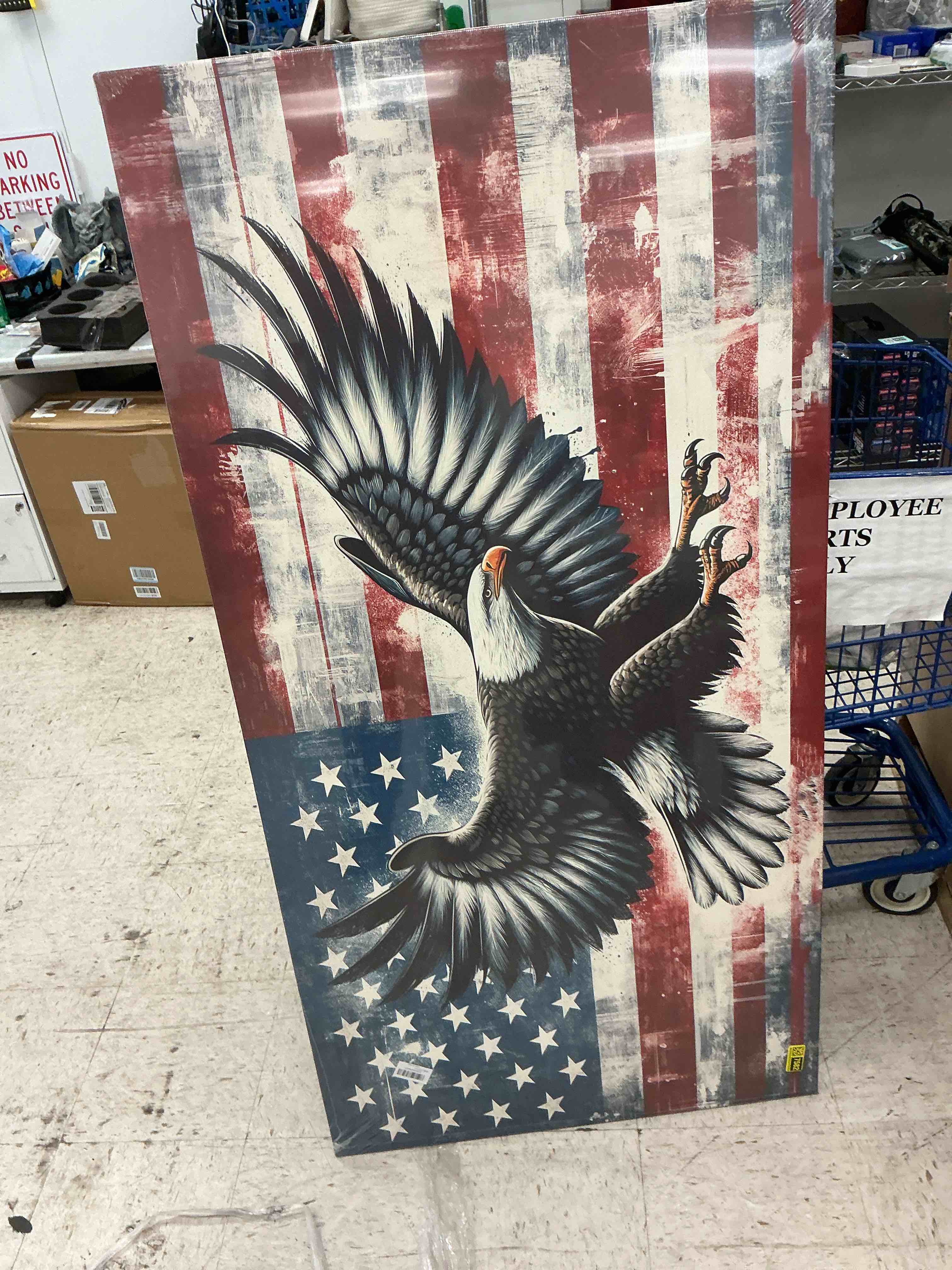Condition photo showing New/Like New for american eagle flag painting