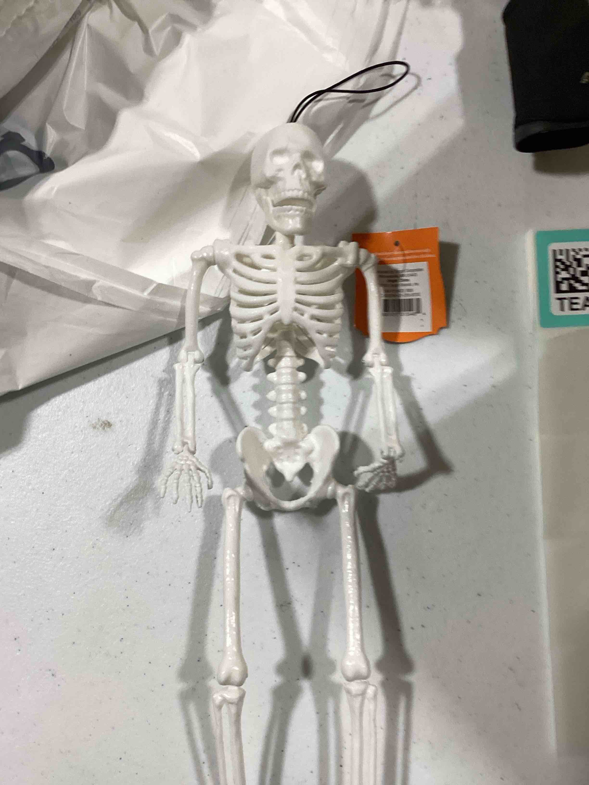 16" Jointed Skeleton White Halloween Decorative Prop - Hyde & EEK! Boutique™