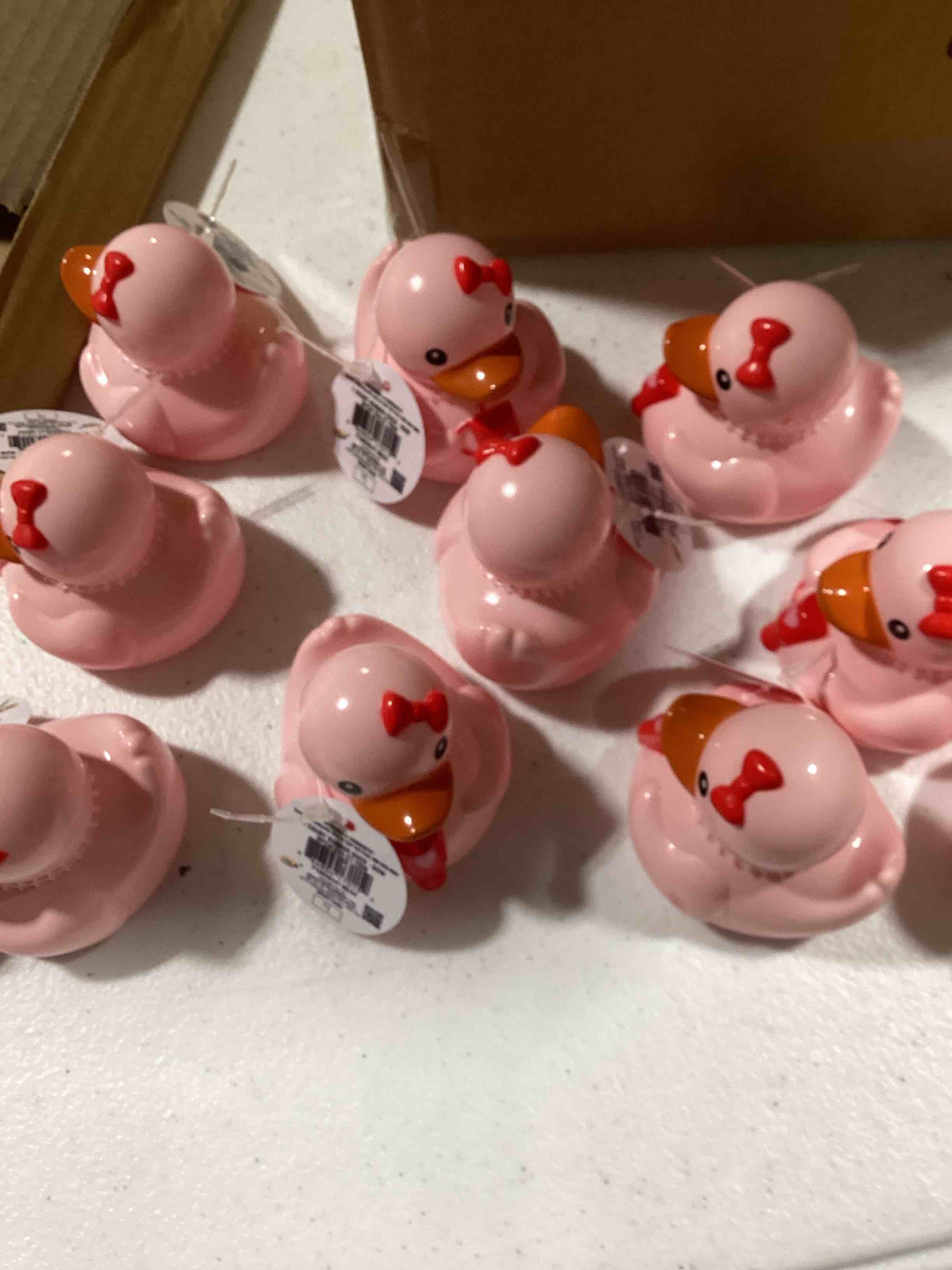 assorted rubber ducky