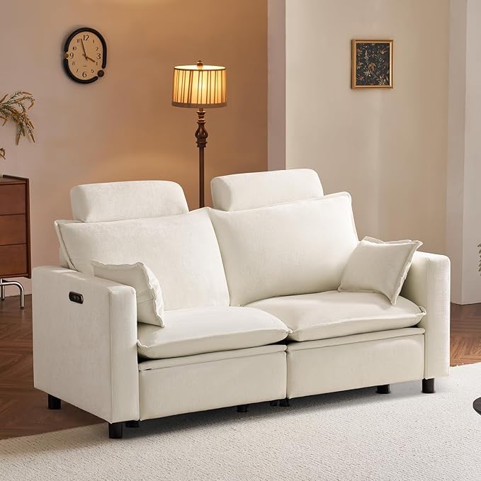 Homebody Loveseat Recliner, Power Reclining Sofa