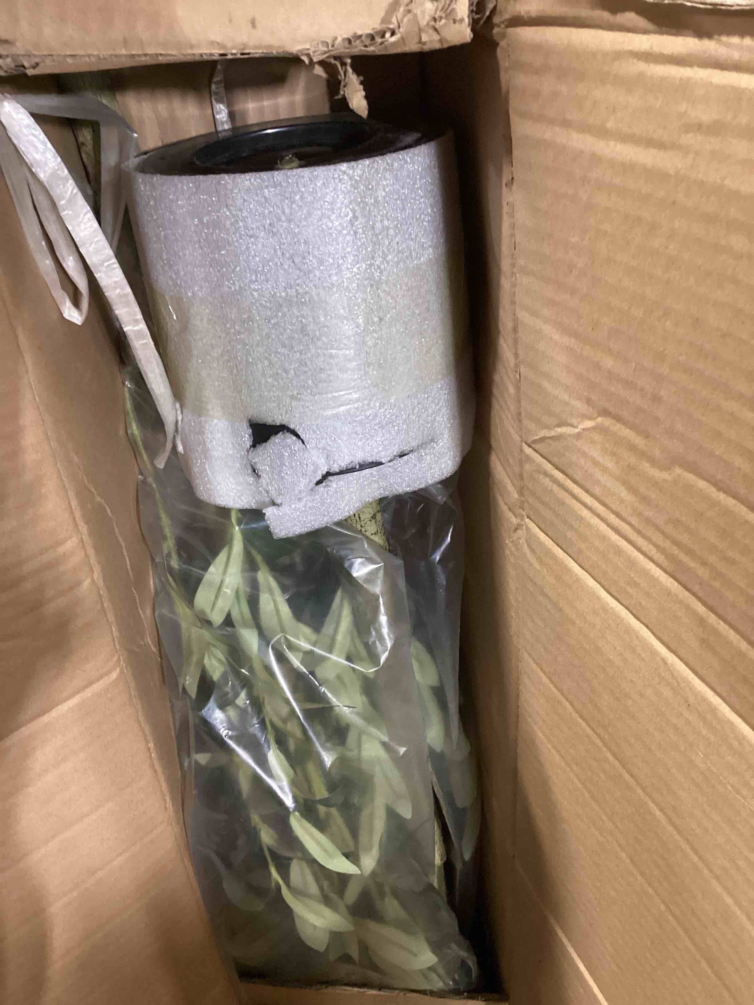 https://s3.amazonaws.com/lotting-images-prod/bidfta/TEA1855995_1738621541794.jpeg