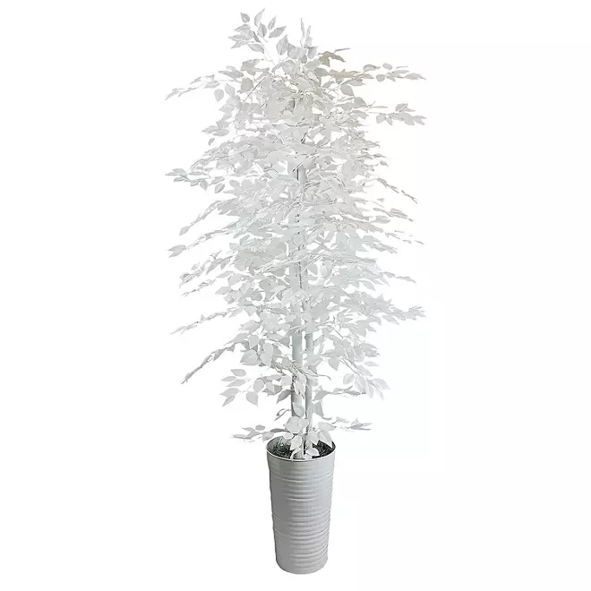 Artificial 7.5' White Ficus Tree in Decorative White Metal Pot