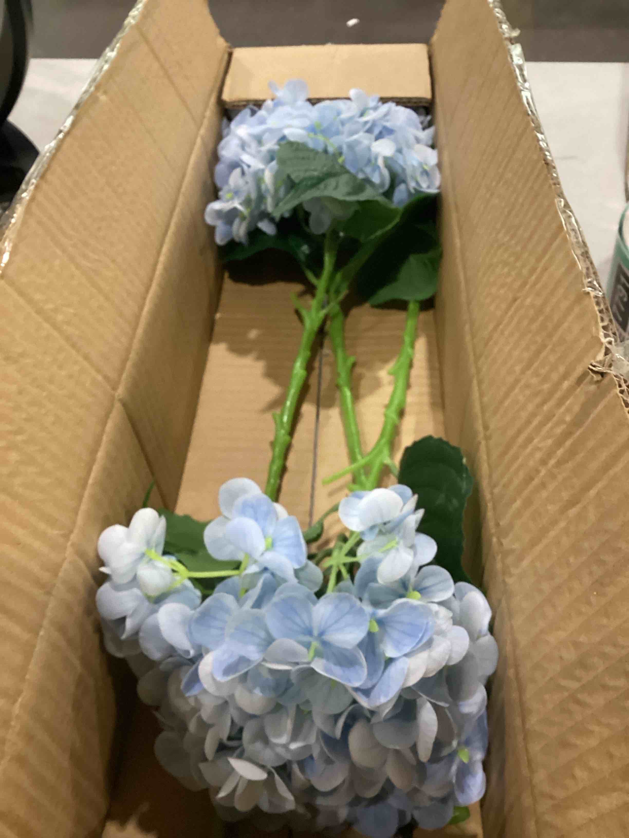 https://s3.amazonaws.com/lotting-images-prod/bidfta/TEA1877781_1753186833040.jpeg