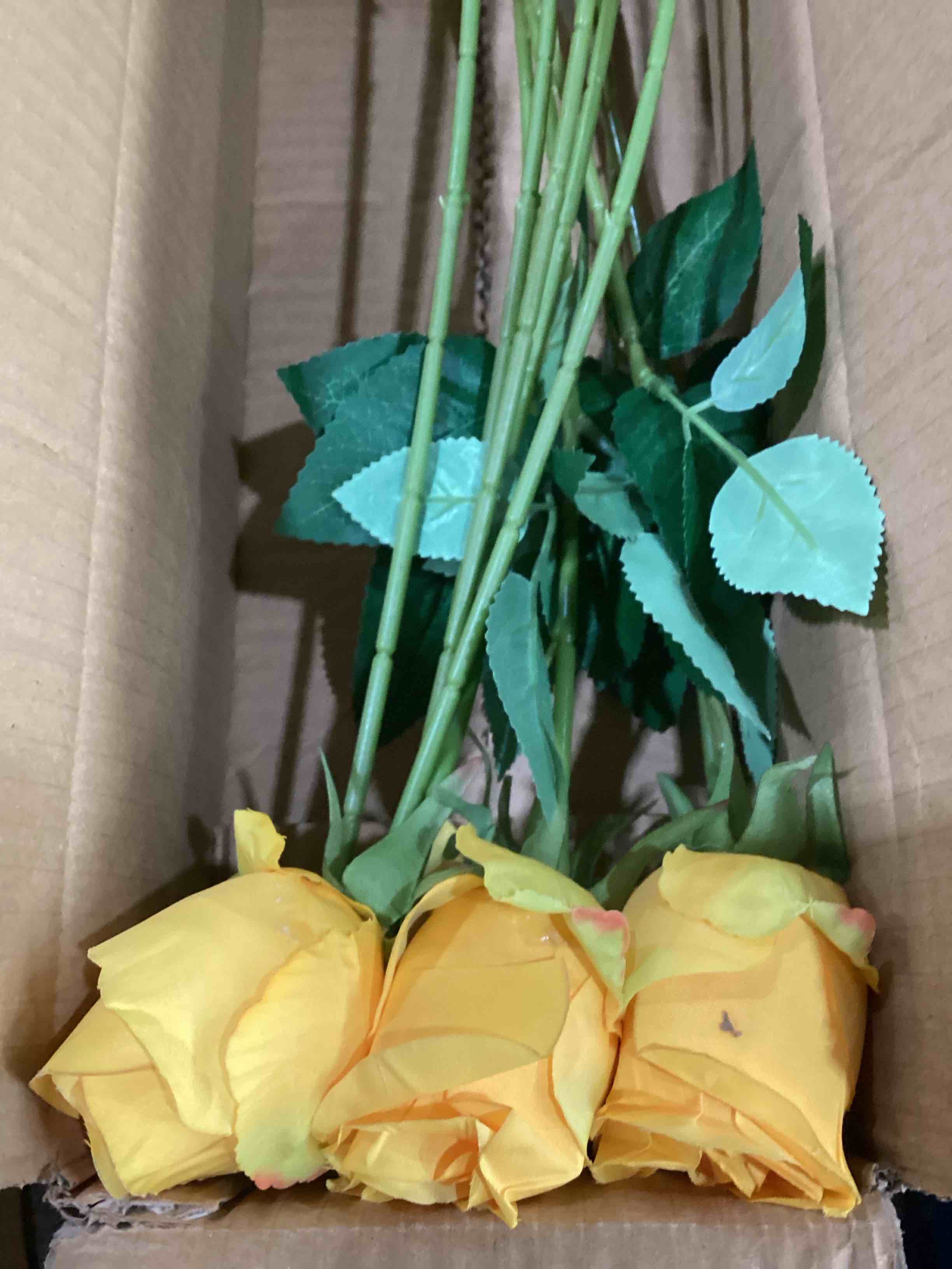 https://s3.amazonaws.com/lotting-images-prod/bidfta/TEA1878009_1753211867169.jpeg