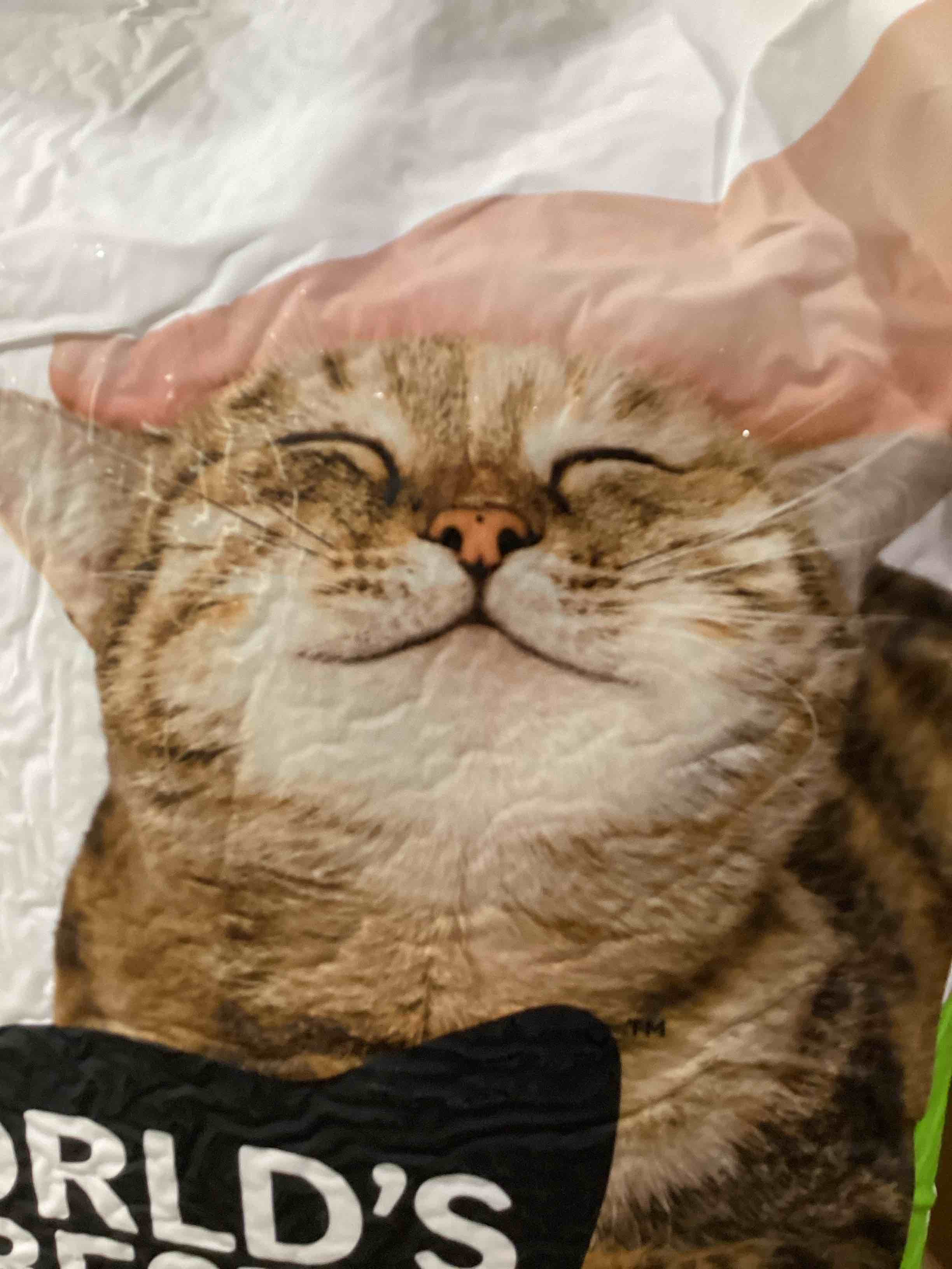 https://s3.amazonaws.com/lotting-images-prod/bidfta/TEA1880739_1746813240073.jpeg