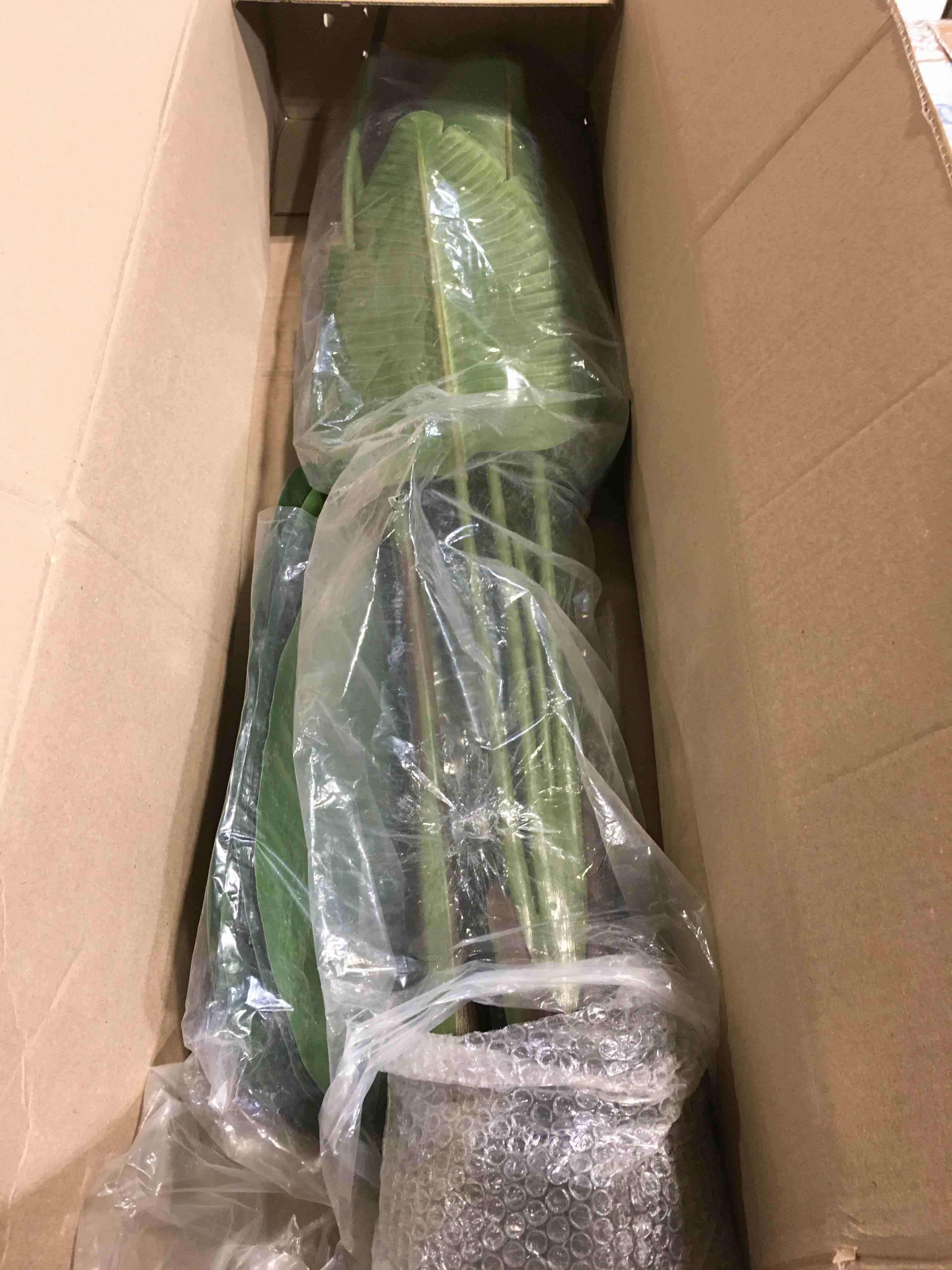 https://s3.amazonaws.com/lotting-images-prod/bidfta/TEA1888614_1741887654615.jpeg